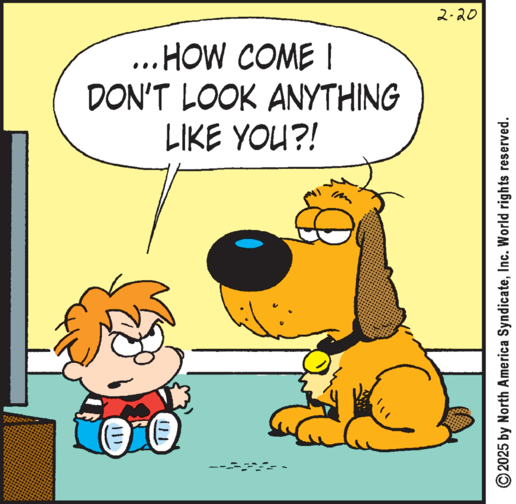 Comics OCR: ... HOW COME I DON'T LOOK ANYTHING LIKE YOU?! 2-20 111 © 2025 by North America SyndicateInc. World rights reserved. ... HOW COME I DON'T LOOK ANYTHING LIKE YOU ?! 2-20 111 © 2025 by North America SyndicateInc. World rights reserved .