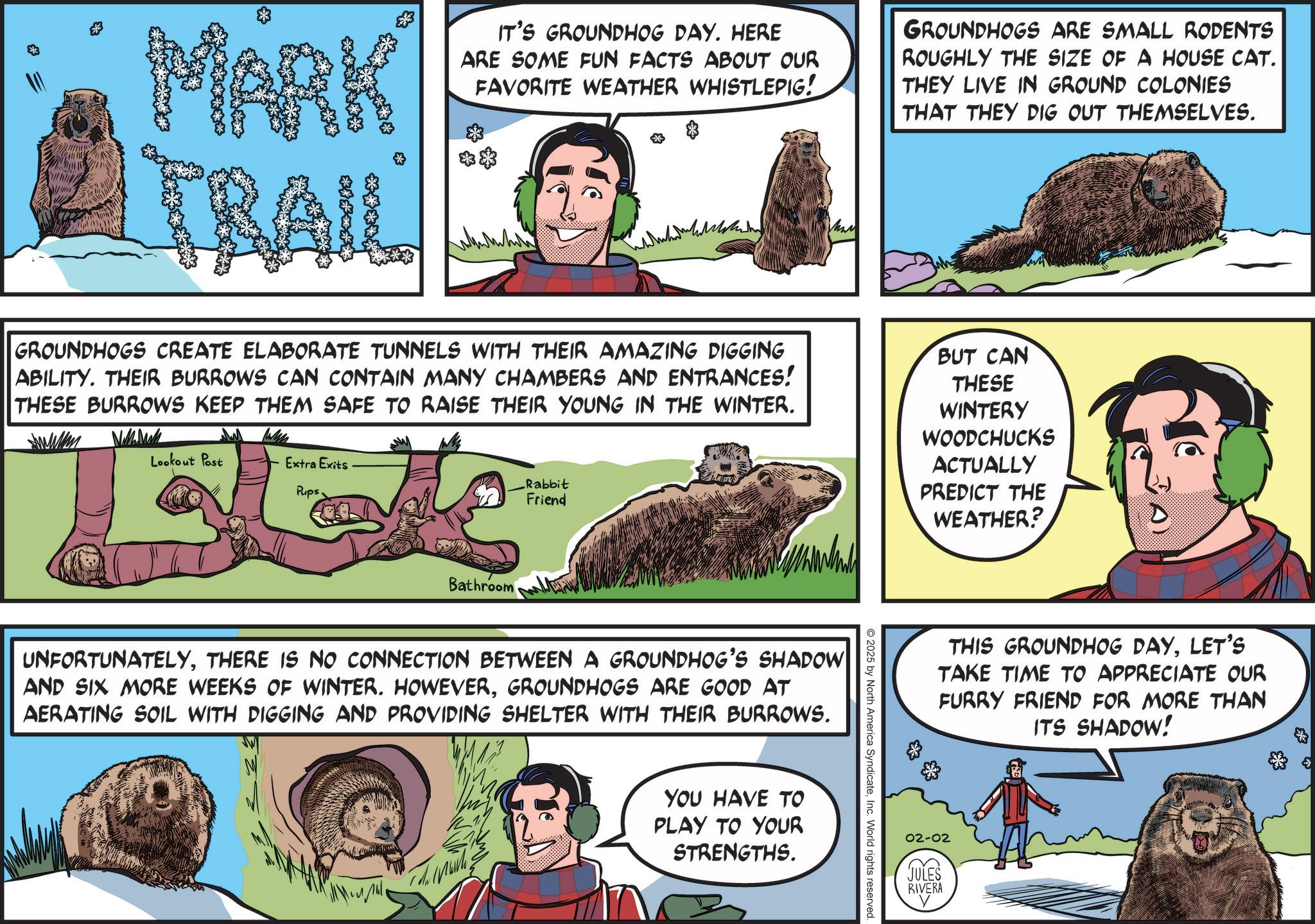 Fiction OCR: MARK TRAIL IT'S GROUNDHOG DAY. HERE ARE SOME FUN FACTS ABOUT OUR FAVORITE WEATHER WHISTLEPIG! GROUNDHOGS ARE SMALL RODENTS ROUGHLY THE SIZE OF A HOUSE CAT. THEY LIVE IN GROUND COLONIES THAT THEY DIG OUT THEMSELVES. GROUNDHOGS CREATE ELABORATE TUNNELS WITH THEIR AMAZING DIGGING ABILITY. THEIR BURROWS CAN CONTAIN MANY CHAMBERS AND ENTRANCES! THESE BURROWS KEEP THEM SAFE TO RAISE THEIR YOUNG IN THE WINTER. Lookout Post Extra Exits Pups Rabbit Friend BUT CAN THESE WINTERY WOODCHUCKS ACTUALLY PREDICT THE WEATHER? Bathroom UNFORTUNATELYTHERE IS NO CONNECTION BETWEEN A GROUNDHOG'S SHADOW AND SIX MORE WEEKS OF WINTER. HOWEVERGROUNDHOGS ARE GOOD AT AERATING SOIL WITH DIGGING AND PROVIDING SHELTER WITH THEIR BURROWS. YOU HAVE TO PLAY TO YOUR STRENGTHS. O2025 by North America SyndicateInc. World rights reserved. THIS GROUNDHOG DAYLET'S TAKE TIME TO APPRECIATE OUR FURRY FRIEND FOR MORE THAN ITS SHADOW! 02-02 JULES RIVERA MARK TRAIL IT'S GROUNDHOG DAY . HERE ARE SOME FUN FACTS ABOUT OUR FAVORITE WEATHER WHISTLEPIG ! GROUNDHOGS ARE SMALL RODENTS ROUGHLY THE SIZE OF A HOUSE CAT . THEY LIVE IN GROUND COLONIES THAT THEY DIG OUT THEMSELVES . GROUNDHOGS CREATE ELABORATE TUNNELS WITH THEIR AMAZING DIGGING ABILITY . THEIR BURROWS CAN CONTAIN MANY CHAMBERS AND ENTRANCES ! THESE BURROWS KEEP THEM SAFE TO RAISE THEIR YOUNG IN THE WINTER . Lookout Post Extra Exits Pups Rabbit Friend BUT CAN THESE WINTERY WOODCHUCKS ACTUALLY PREDICT THE WEATHER ? Bathroom UNFORTUNATELYTHERE IS NO CONNECTION BETWEEN A GROUNDHOG'S SHADOW AND SIX MORE WEEKS OF WINTER . HOWEVERGROUNDHOGS ARE GOOD AT AERATING SOIL WITH DIGGING AND PROVIDING SHELTER WITH THEIR BURROWS . YOU HAVE TO PLAY TO YOUR STRENGTHS . O2025 by North America SyndicateInc. World rights reserved . THIS GROUNDHOG DAYLET'S TAKE TIME TO APPRECIATE OUR FURRY FRIEND FOR MORE THAN ITS SHADOW ! 02-02 JULES RIVERA