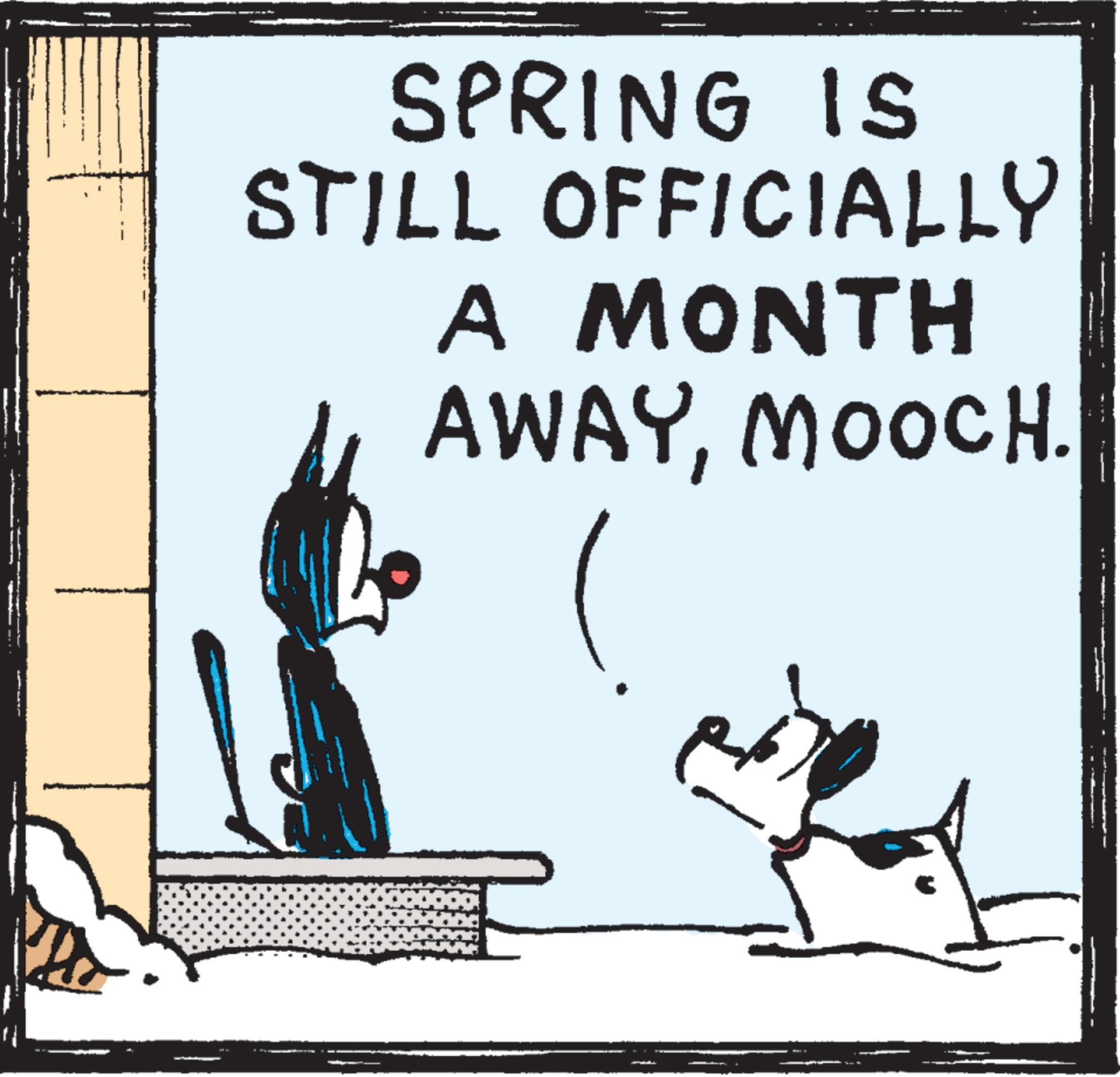 Fiction OCR: SPRING IS STILL OFFICIALLY A MONTH AWAYMOOCH. SPRING IS STILL OFFICIALLY A MONTH AWAYMOOCH .
