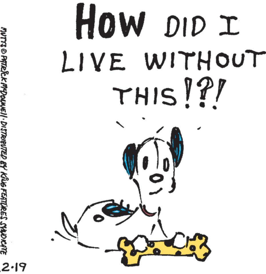 Line art OCR: HOW DID I LIVE WITHOUT THIS!?! MUTTS © PATRICK MYDONNE!!· DISTRIBUTED BY KING FEATURES SYNDICATE 2.19 ??? HOW DID I LIVE WITHOUT THIS ! ? ! MUTTS © PATRICK MYDONNE !! · DISTRIBUTED BY KING FEATURES SYNDICATE 2.19 ???