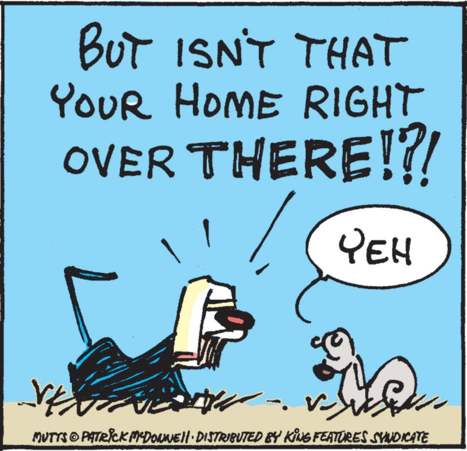 Clip art OCR: BUT ISN'T THAT YOUR HOME RIGHT OVER THERE!?! YEH MUTTS © PATRICK MCDONNELL DISTRIBUTED BY KING FEATURES SYNDICATE BUT ISN'T THAT YOUR HOME RIGHT OVER THERE ! ? ! YEH MUTTS © PATRICK MCDONNELL DISTRIBUTED BY KING FEATURES SYNDICATE