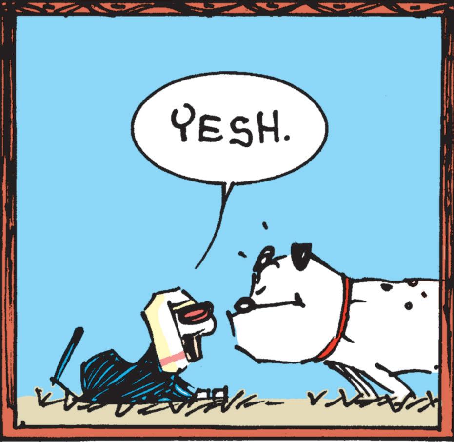 Fiction OCR: YESH. PARKA - ? YESH . PARKA - ?