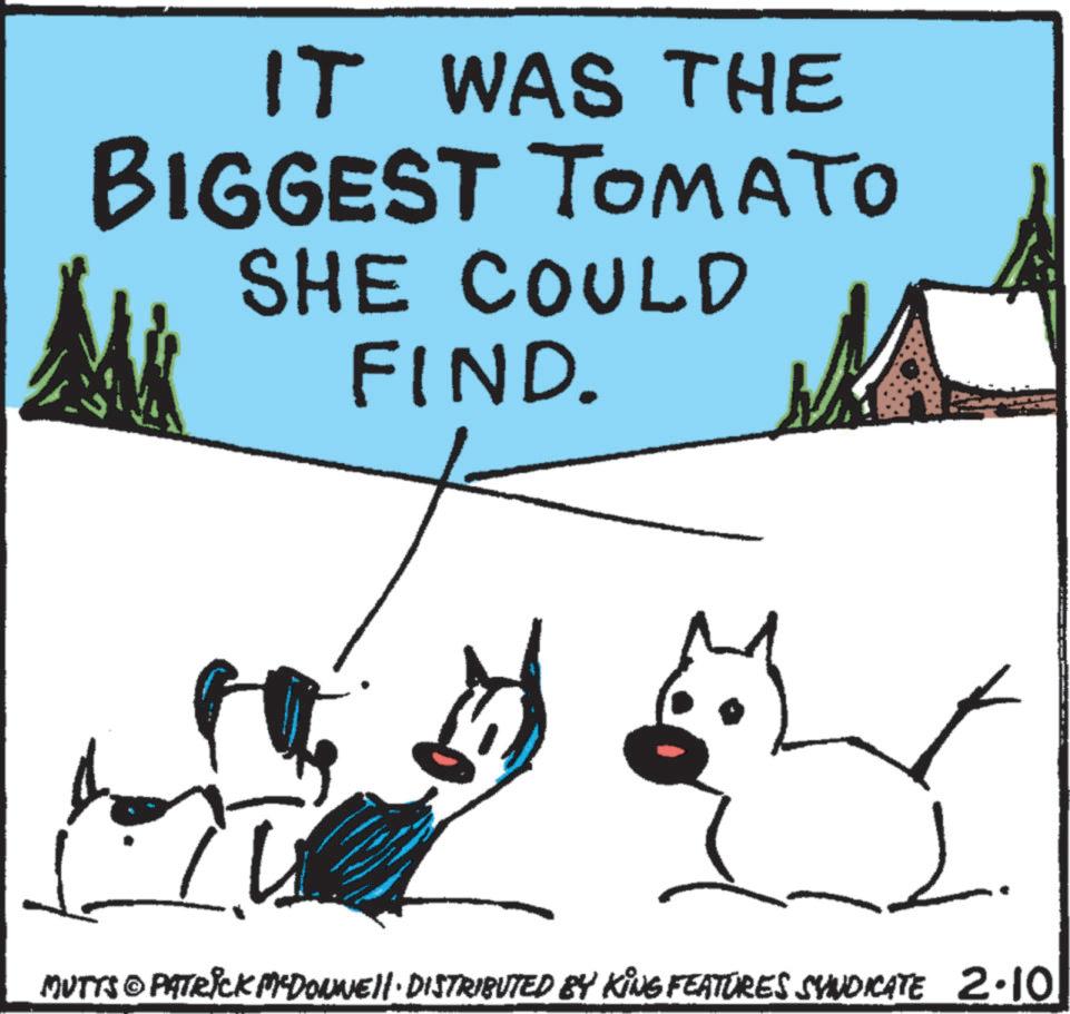 Clip art OCR: IT WAS THE BIGGEST TOMATO SHE COULD FIND. MUTTS © PATRICK MYDONNELL DISTRIBUTED BY KING FEATURES SYNDICATE 2.10 IT WAS THE BIGGEST TOMATO SHE COULD FIND . MUTTS © PATRICK MYDONNELL DISTRIBUTED BY KING FEATURES SYNDICATE 2.10