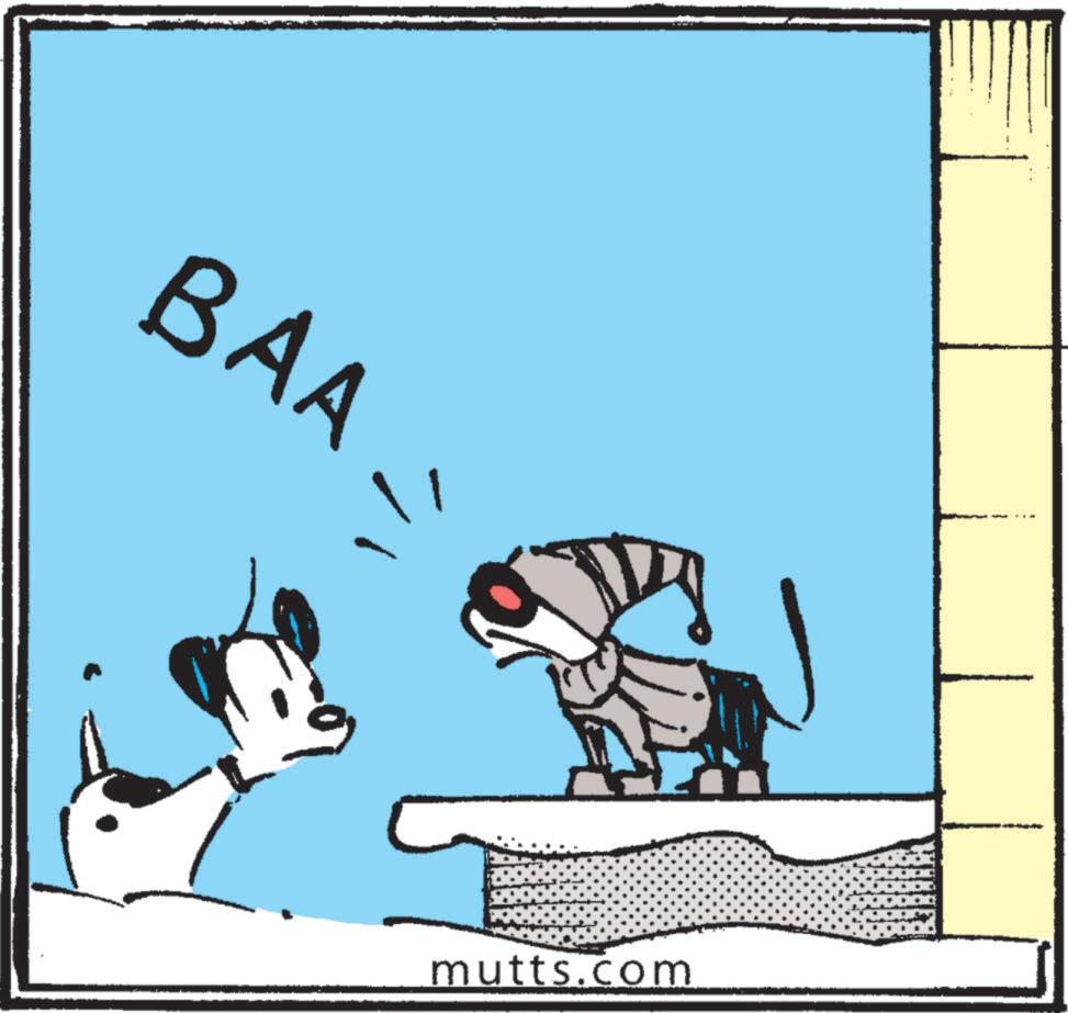 Animated cartoon OCR: BAA mutts.com BAA mutts.com