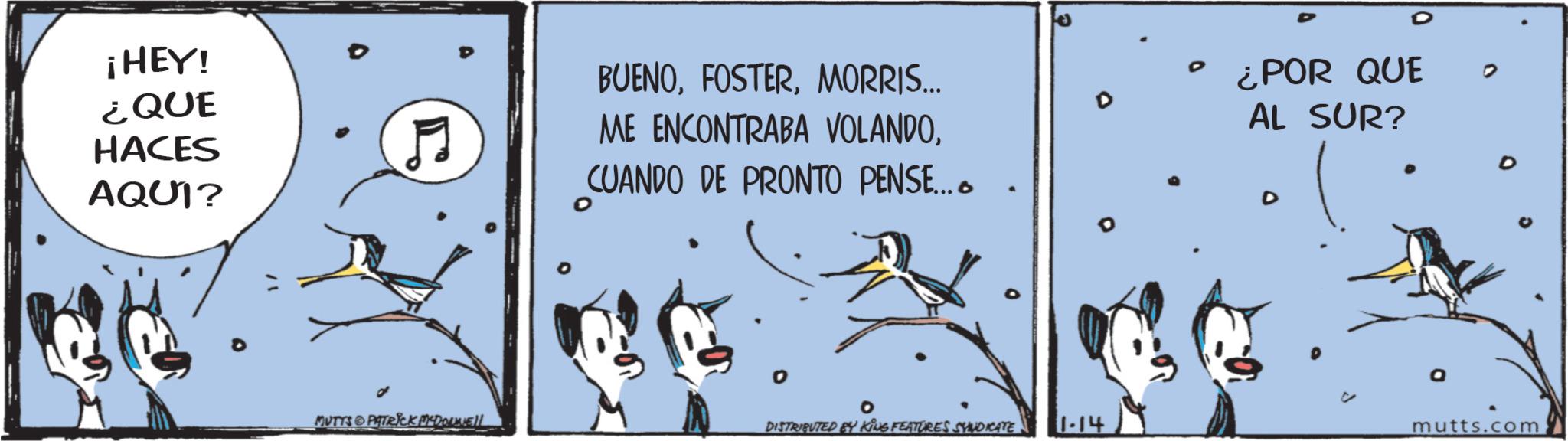 Animated cartoon OCR: ¡HEY! ¿QUE HACES AQUI? H MUTTS PATRICK MCDONNELL BUENOMORRIS... ME ENCONTRABA VOLANDOCUANDO DE PRONTO PENSE.... • ¿POR QUE AL SUR? D D D 0 DISTRIBUTED BY KING FEATURES SYNDICATE 1-14 a mutts.com ¡ HEY ! ¿ QUE HACES AQUI ? H MUTTS PATRICK MCDONNELL BUENOMORRIS ... ME ENCONTRABA VOLANDOCUANDO DE PRONTO PENSE .... • ¿ POR QUE AL SUR ? D D D 0 DISTRIBUTED BY KING FEATURES SYNDICATE 1-14 a mutts.com