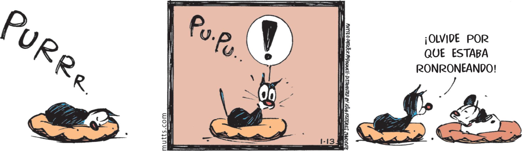 Comics OCR: PURRR PU.Pu. mutts.com MUTTS PATRICK MEDOUNE DISTRIBUTED BY KING FEATURES SYNDICATE 1-13. ¡OLVIDE POR QUE ESTABA RONRONEANDO! PURRR PU.Pu. mutts.com MUTTS PATRICK MEDOUNE DISTRIBUTED BY KING FEATURES SYNDICATE 1-13 . ¡ OLVIDE POR QUE ESTABA RONRONEANDO !
