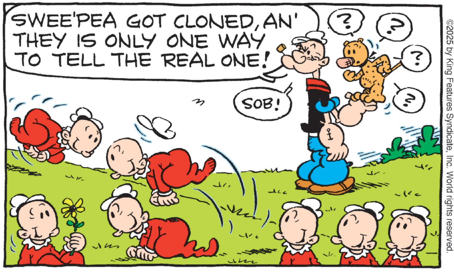 Animated cartoon OCR: 0+ SWEE'PEA GOT CLONEDAN' ? THEY IS ONLY ONE WAY TO TELL THE REAL ONE! n SOB! Jim w ? N. ©2025 by King Features SyndicateInc. World rights reserved. 0+ SWEE'PEA GOT CLONEDAN ' ? THEY IS ONLY ONE WAY TO TELL THE REAL ONE ! n SOB ! Jim w ? N. © 2025 by King Features SyndicateInc. World rights reserved .