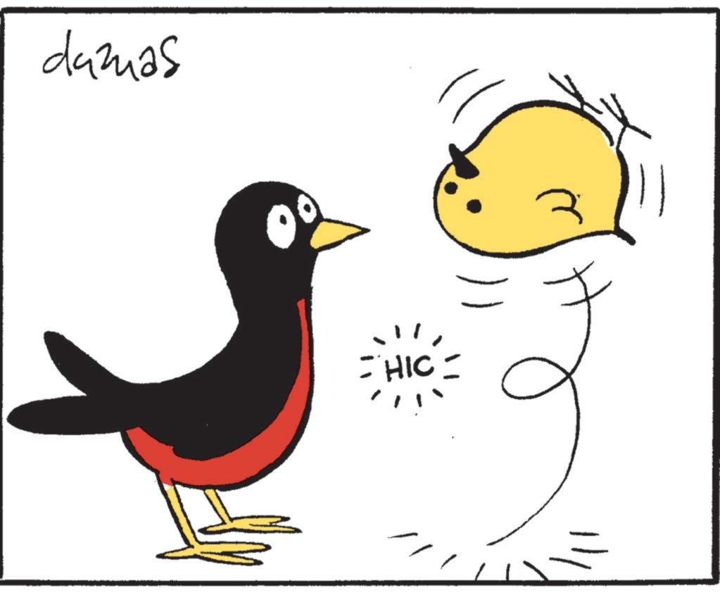 Animation OCR: damas CHIC damas CHIC