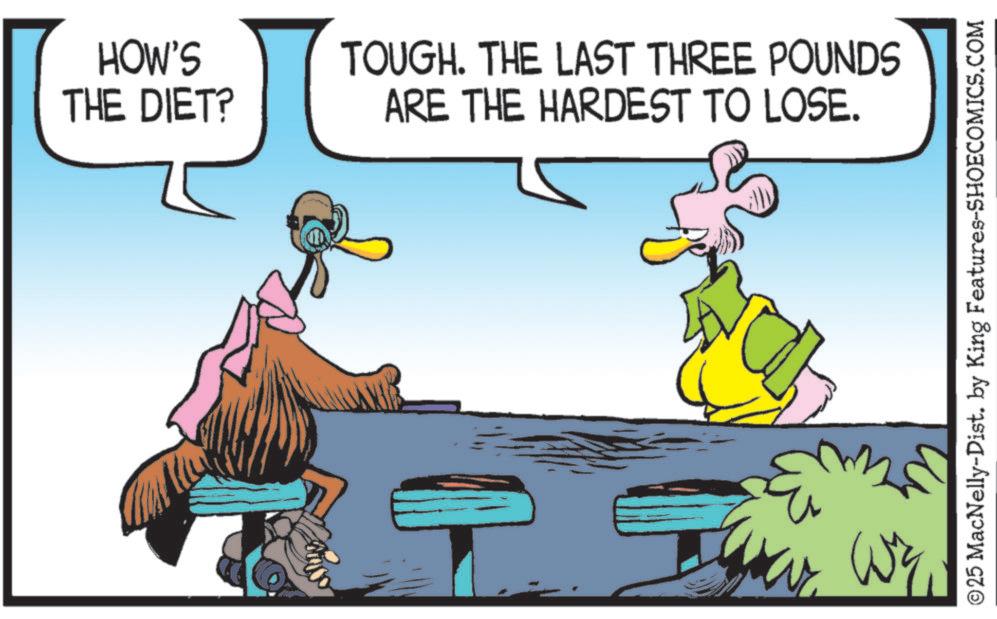 Bird OCR: HOW'S THE DIET? TOUGH. THE LAST THREE POUNDS ARE THE HARDEST TO LOSE. WY ©25 MacNelly-Dist. by King Features-SHOECOMICS.COM HOW'S THE DIET ? TOUGH . THE LAST THREE POUNDS ARE THE HARDEST TO LOSE . WY © 25 MacNelly - Dist . by King Features-SHOECOMICS.COM