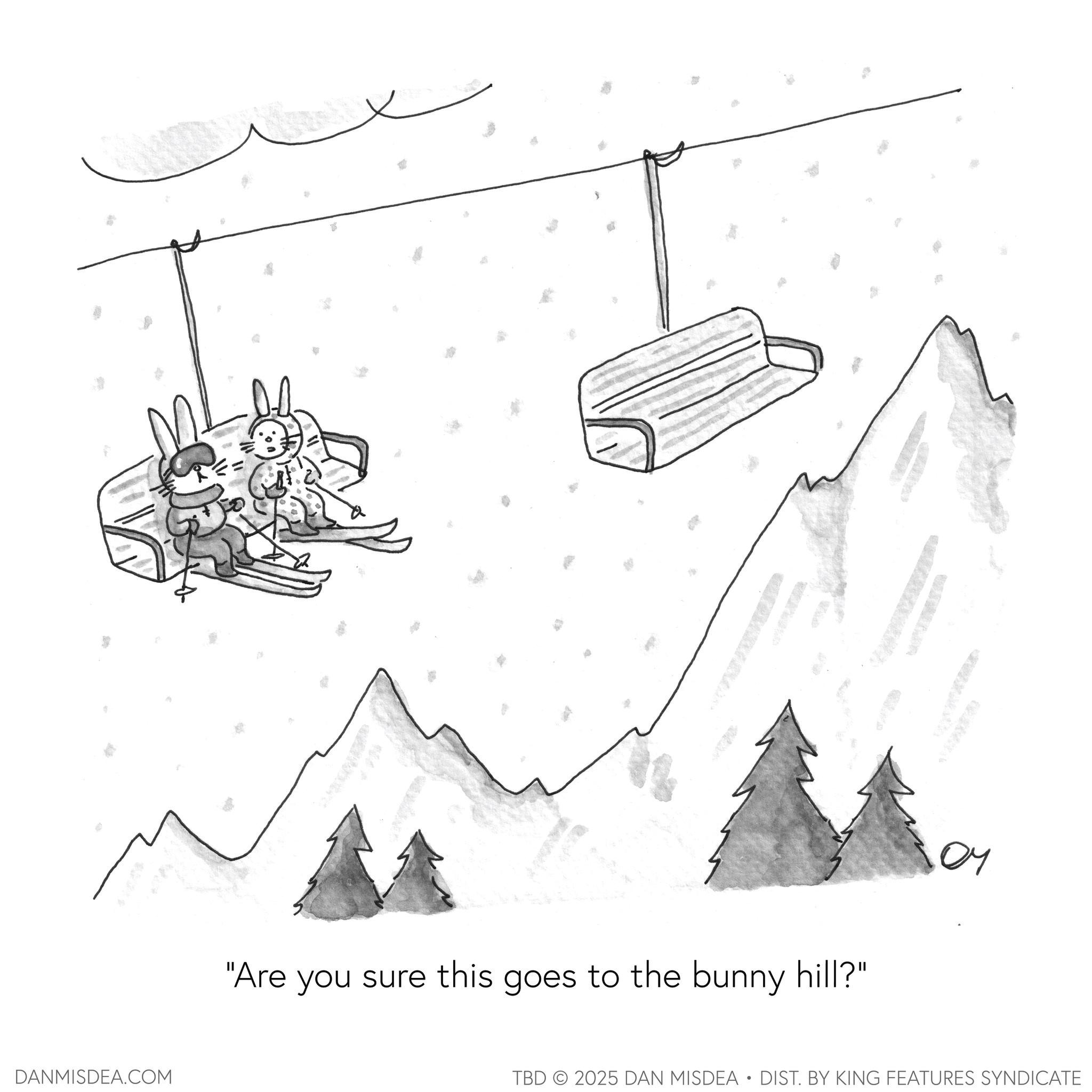Coloring book OCR: DANMISDEA.COM == "Are you sure this goes to the bunny hill?" ?? TBD 2025 DAN MISDEA • DIST. BY KING FEATURES SYNDICATE DANMISDEA.COM == " Are you sure this goes to the bunny hill ? " ?? TBD 2025 DAN MISDEA • DIST . BY KING FEATURES SYNDICATE