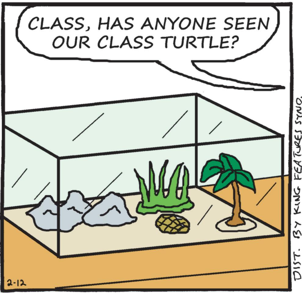 Science OCR: 2-12 CLASSHAS ANYONE SEEN OUR CLASS TURTLE? DIST. BY KING FEATURES SYND. 2-12 CLASSHAS ANYONE SEEN OUR CLASS TURTLE ? DIST . BY KING FEATURES SYND .