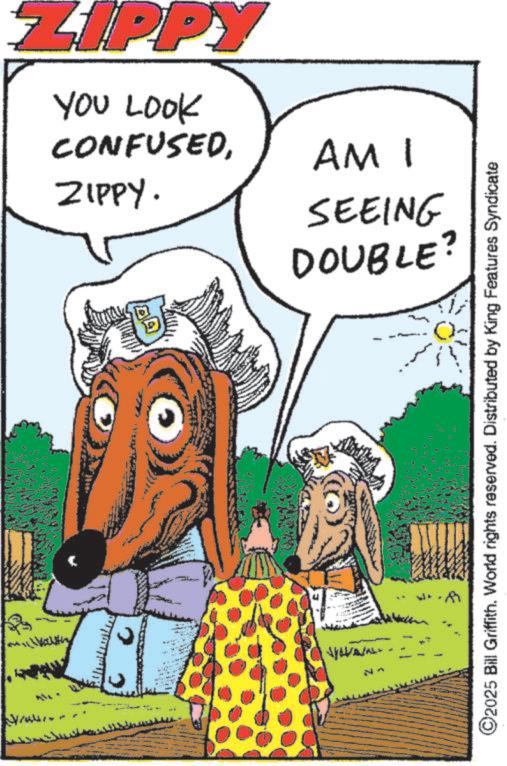 Fictional character OCR: ZIPPY YOU LOOK CONFUSEDZIPPY. N¬ AM 1 SEEING DOUBLE? ©2025 Bill Griffith. World rights reserved. Distributed by King Features Syndicate ·A ZIPPY YOU LOOK CONFUSEDZIPPY . N¬ AM 1 SEEING DOUBLE ? © 2025 Bill Griffith . World rights reserved . Distributed by King Features Syndicate · A