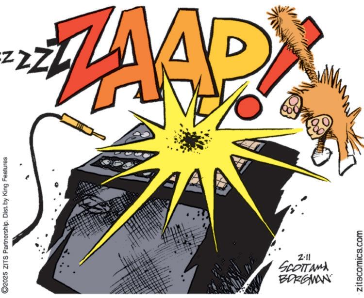 Graphic design OCR: ©2025 ZITS Partnership. Dist. by King Features 2-11 BORGMAN Scottand zitscomics.com N © 2025 ZITS Partnership . Dist . by King Features 2-11 BORGMAN Scottand zitscomics.com N