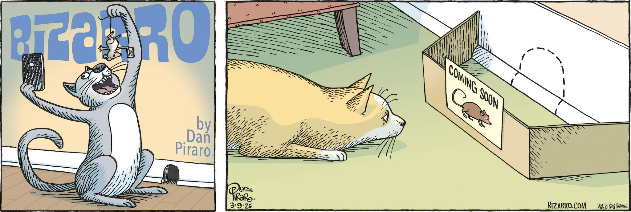 Cat OCR: PEBARO by Dan Piraro DAN PIRORO. 3.9.25 COMING SOON BIZARRO.COM Dist. King Features PEBARO by Dan Piraro DAN PIRORO . 3.9.25 COMING SOON BIZARRO.COM Dist . King Features