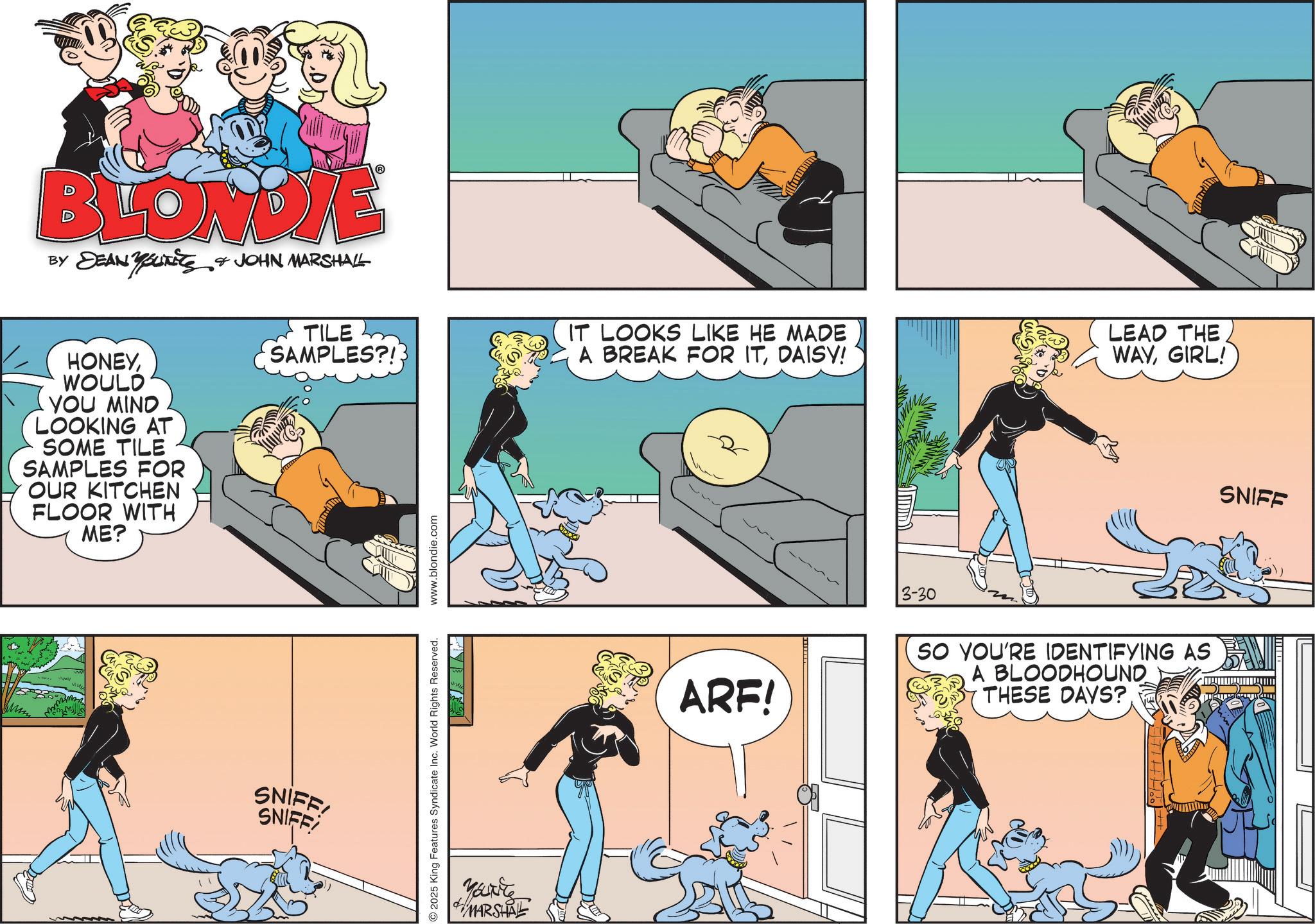 Fictional character OCR: BLONDIE BY DEAN YouTiTS JOHN MARSHALL HONEYWOULD YOU MIND LOOKING AT SOME TILE SAMPLES FOR OUR KITCHEN FLOOR WITH ME? SNIFF! SNIFF TILE SAMPLES?! IT LOOKS LIKE HE MADE A BREAK FOR ITDAISY! 2025 King Features Syndicate Inc. World Rights Reserved. www.blondie.com Marte MARSHAL 3-30 LEAD THE WAYGIRL! ARF! SO YOU'RE IDENTIFYING AS A BLOODHOUND THESE DAYS?SNIFF BLONDIE BY DEAN YouTiTS JOHN MARSHALL HONEYWOULD YOU MIND LOOKING AT SOME TILE SAMPLES FOR OUR KITCHEN FLOOR WITH ME ? SNIFF ! SNIFF TILE SAMPLES ?! IT LOOKS LIKE HE MADE A BREAK FOR ITDAISY ! 2025 King Features Syndicate Inc. World Rights Reserved . www.blondie.com Marte MARSHAL 3-30 LEAD THE WAYGIRL ! ARF ! SO YOU'RE IDENTIFYING AS A BLOODHOUND THESE DAYS ?