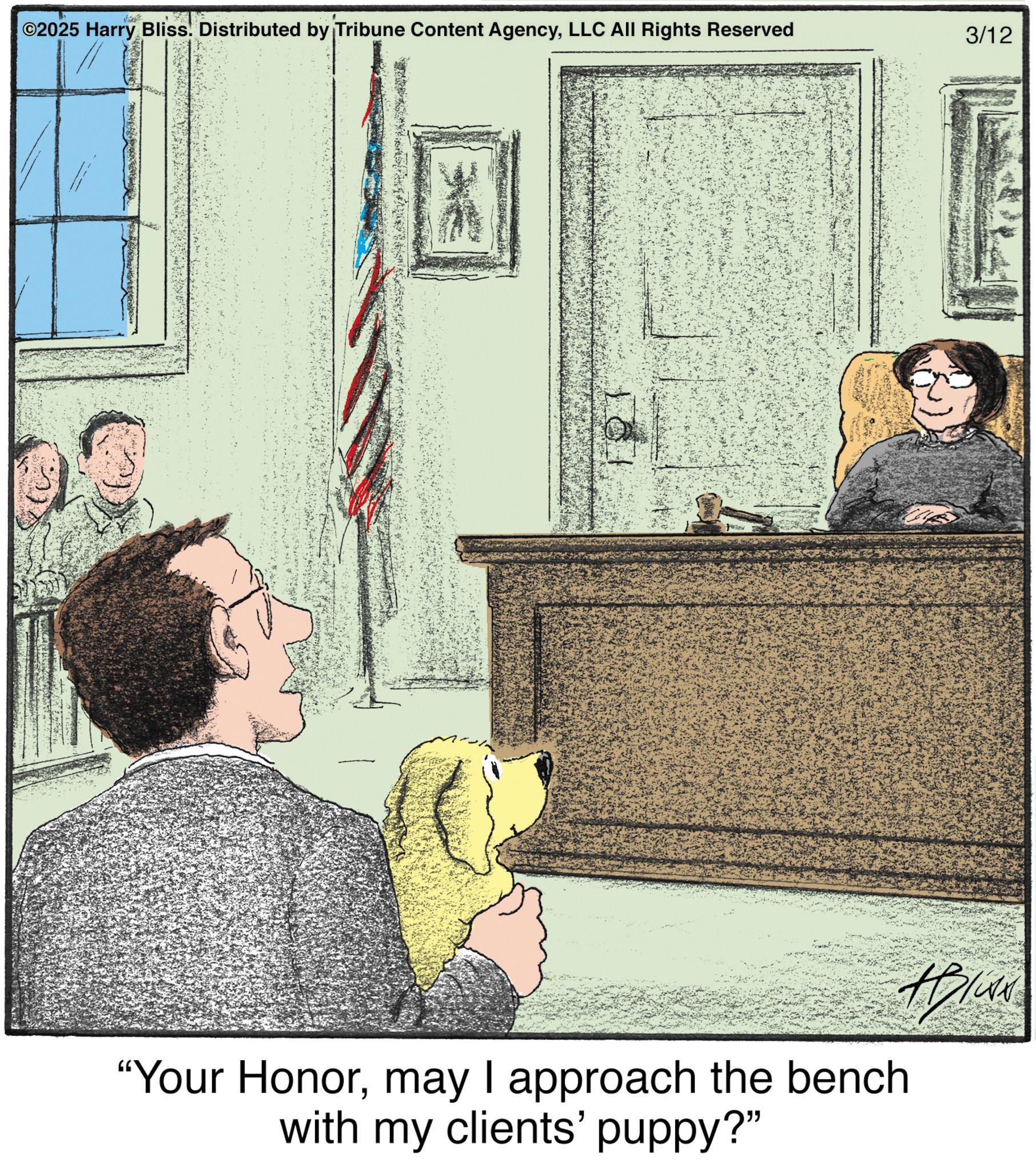 Fiction OCR: ©2025 Harry Bliss. Distributed by Tribune Content AgencyLLC All Rights Reserved "Your Honormay I approach the bench with my clients' puppy?" 3/12 ABIAN © 2025 Harry Bliss . Distributed by Tribune Content AgencyLLC All Rights Reserved " Your Honormay I approach the bench with my clients ' puppy ? " 3/12 ABIAN