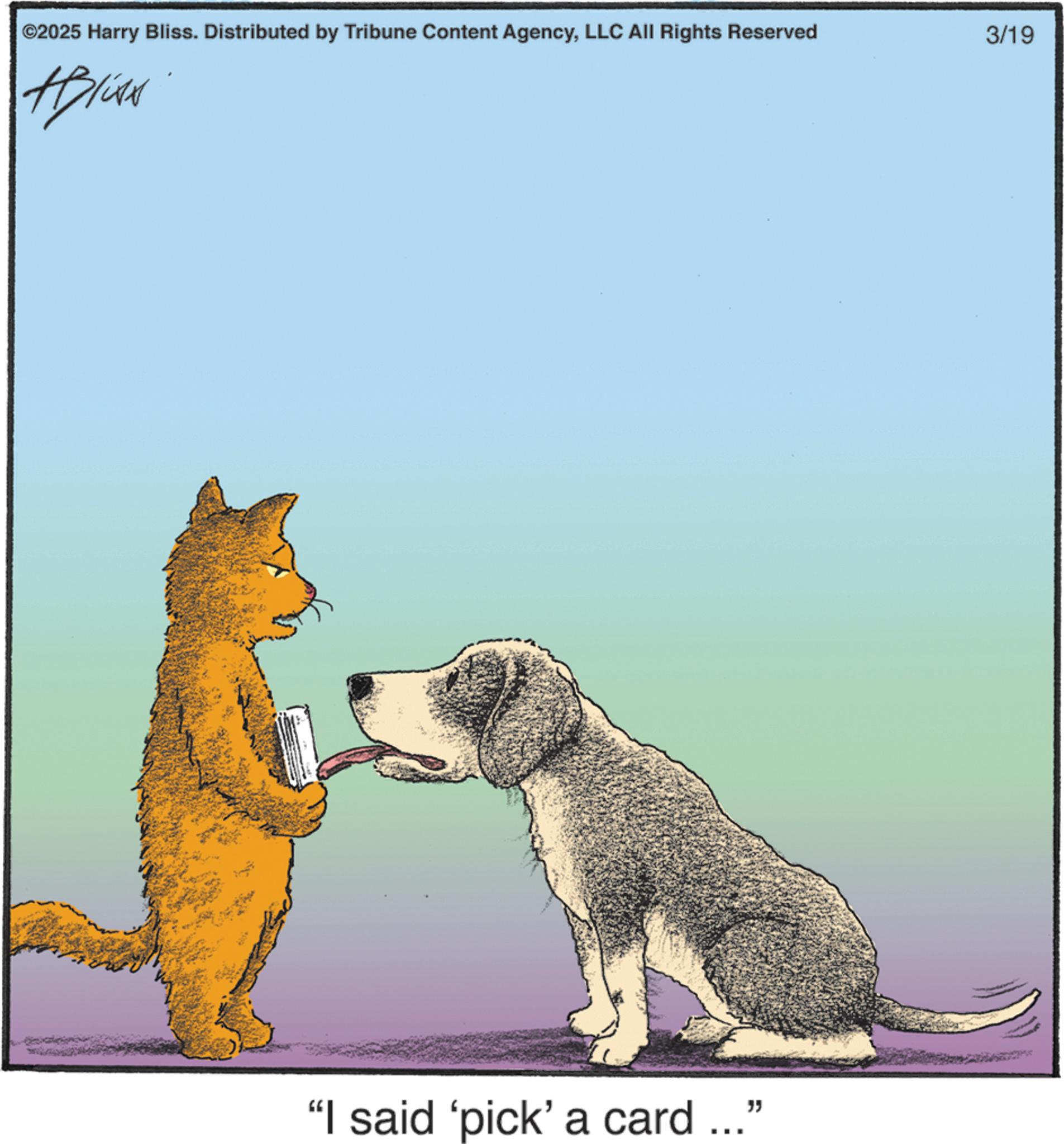 Photo caption OCR: ©2025 Harry Bliss. Distributed by Tribune Content AgencyLLC All Rights Reserved Applies "I said 'pick' a card ... " 3/19 © 2025 Harry Bliss . Distributed by Tribune Content AgencyLLC All Rights Reserved Applies " I said ' pick ' a card ... " 3/19