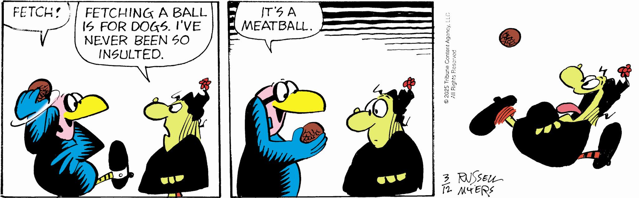 Fictional character OCR: FETCH! FETCHING A BALL IS FOR DOGS. I'VE NEVER BEEN SO INSULTED. IT'S A MEATBALL. ° 2025 Tribune Content AgencyLLC All Rights Reserved 3 RUSSELL 12 MYERS FETCH ! FETCHING A BALL IS FOR DOGS . I'VE NEVER BEEN SO INSULTED . IT'S A MEATBALL . ° 2025 Tribune Content AgencyLLC All Rights Reserved 3 RUSSELL 12 MYERS