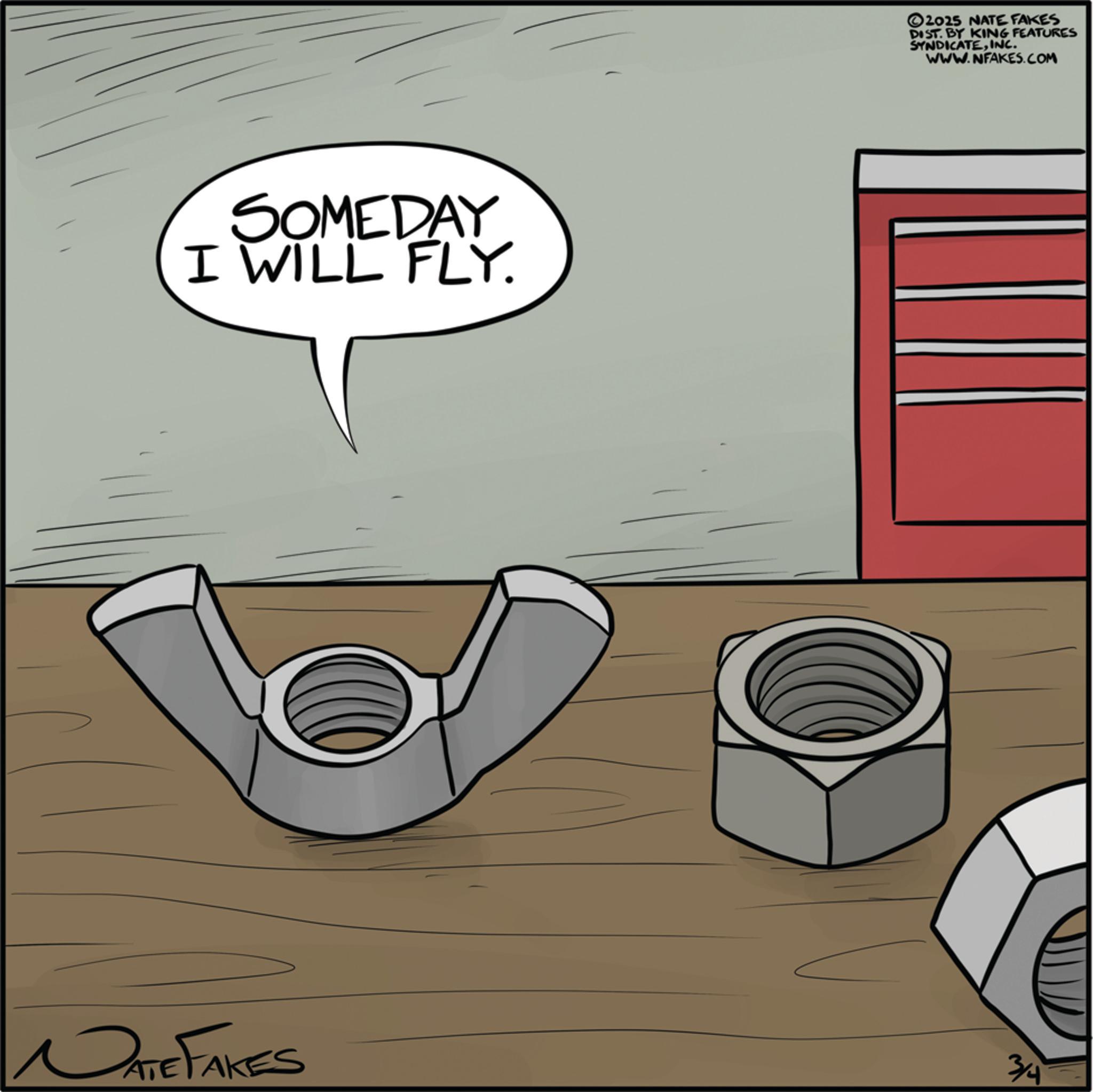 OCR: SOMEDAY I WILL FLY. DATE FAKES ©2025 NATE FAKES DIST. BY KING FEATURES SYNDICATEINC. WWW.NFAKES.COM 3/4 SOMEDAY I WILL FLY . DATE FAKES © 2025 NATE FAKES DIST . BY KING FEATURES SYNDICATEINC . WWW.NFAKES.COM 3/4