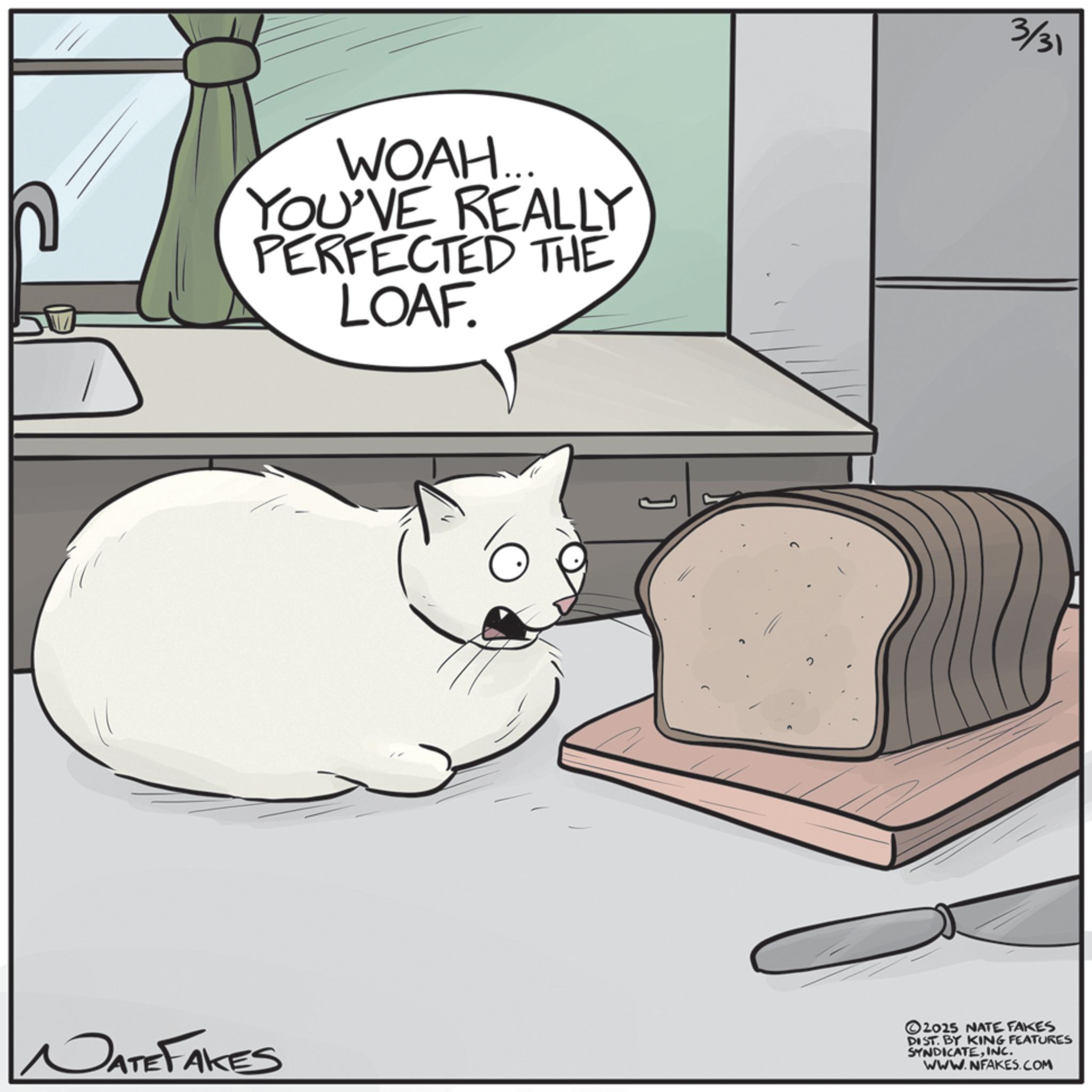 Junk food OCR: WOAH... YOU'VE REALLY PERFECTED THE LOAF. 3/31 NATE FAKES 2025 NATE FAKES DIST. BY KING FEATURES SYNDICATEINC. WWW.NFAKES.COM WOAH ... YOU'VE REALLY PERFECTED THE LOAF . 3/31 NATE FAKES 2025 NATE FAKES DIST . BY KING FEATURES SYNDICATEINC . WWW.NFAKES.COM