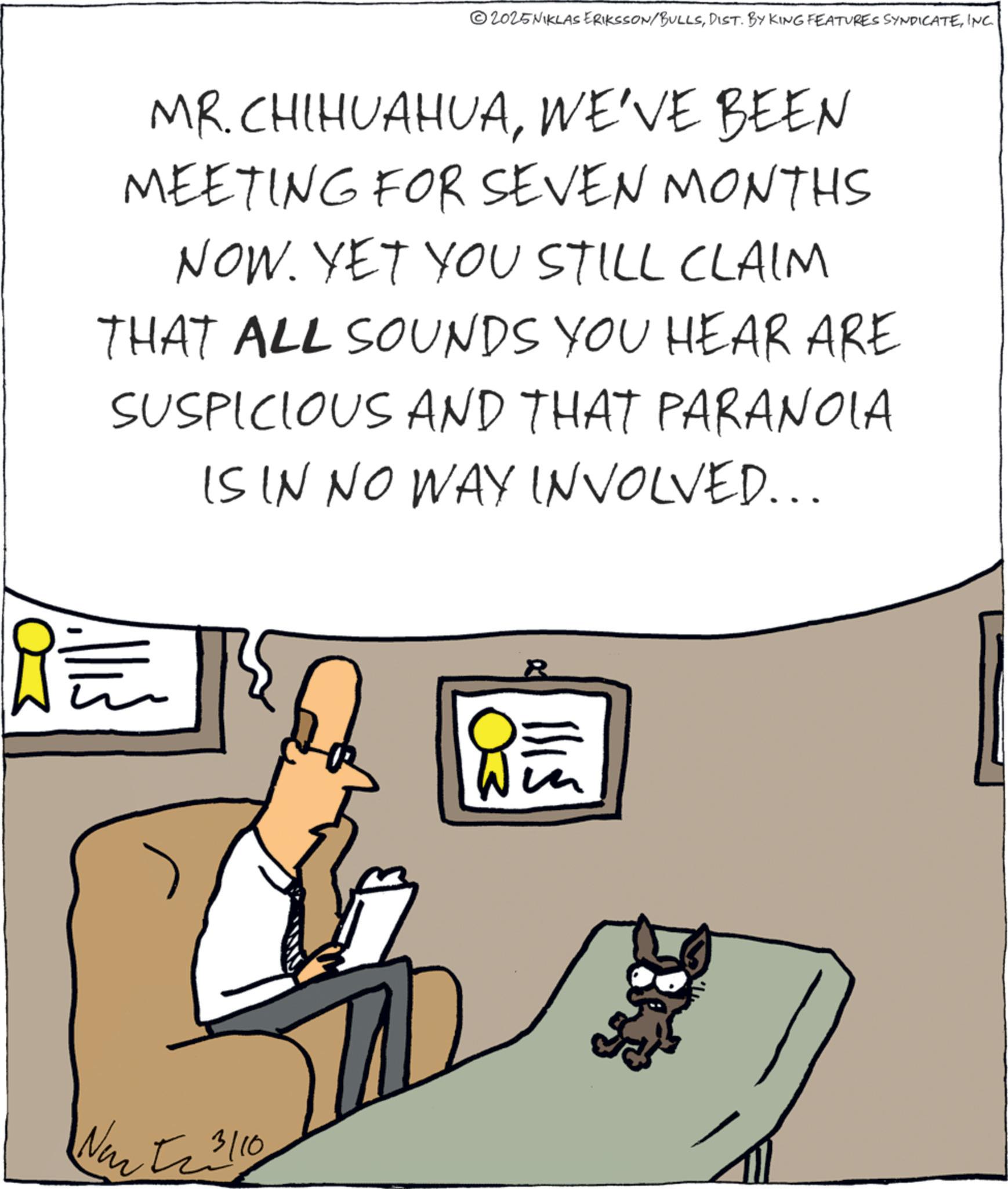 Fiction OCR: 2025NIKLAS ERIKSSON/BULLSINC. MR. CHIHUAHUAWE'VE BEEN MEETING FOR SEVEN MONTHS NOW. YET YOU STILL CLAIM THAT ALL SOUNDS YOU HEAR ARE SUSPICIOUS AND THAT PARANOIA IS IN NO WAY INVOLVED... ? ? New 52 3110 2025NIKLAS ERIKSSON / BULLSDIST . BY KING FEATURES SYNDICATEINC . MR . CHIHUAHUAWE'VE BEEN MEETING FOR SEVEN MONTHS NOW . YET YOU STILL CLAIM THAT ALL SOUNDS YOU HEAR ARE SUSPICIOUS AND THAT PARANOIA IS IN NO WAY INVOLVED ... ? ? New 52 3110