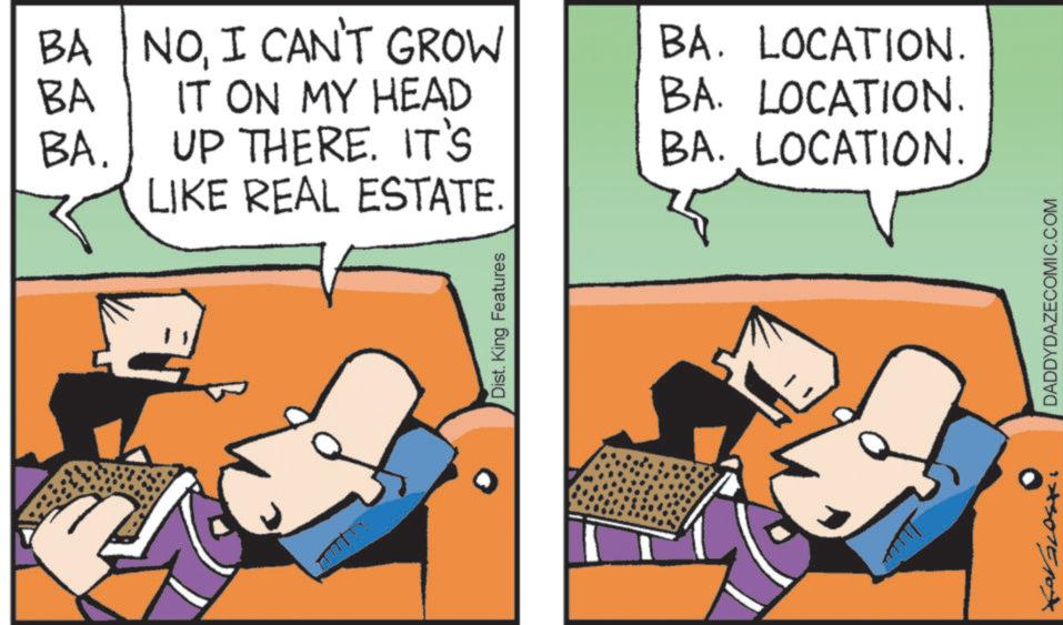 Animated cartoon OCR: BA BA NOI CAN'T GROW IT ON MY HEAD BA. LOCATION. BA. LOCATION. BA. UP THERE. IT'S LIKE REAL ESTATE. BA. LOCATION. Dist. King Features DADDYDAZECOMIC.COM BA BA NOI CAN'T GROW IT ON MY HEAD BA . LOCATION . BA . LOCATION . BA . UP THERE . IT'S LIKE REAL ESTATE . BA . LOCATION . Dist . King Features DADDYDAZECOMIC.COM