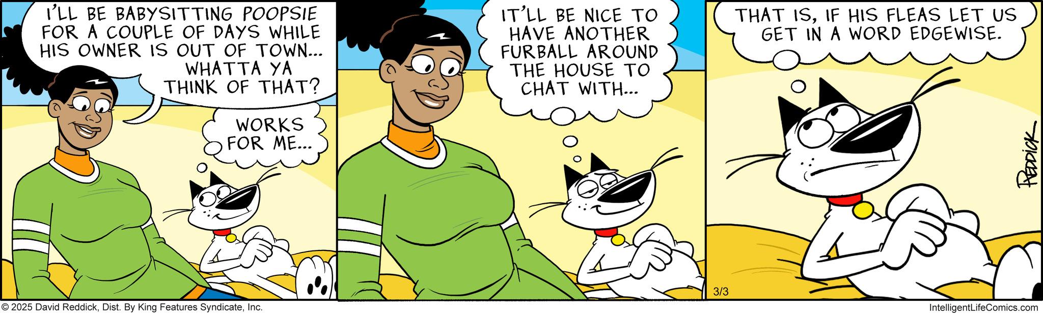 Fictional character OCR: I'LL BE BABYSITTING POOPSIE FOR A COUPLE OF DAYS WHILE HIS OWNER IS OUT OF TOWN... WHATTA YA THINK OF THAT? WORKS FOR ME... IT'LL BE NICE TO HAVE ANOTHER FURBALL AROUND THE HOUSE TO CHAT WITH... THAT ISIF HIS FLEAS LET US GET IN A WORD EDGEWISE. 2025 David ReddickInc. 3/3 IntelligentLifeComics.com REDDICK I'LL BE BABYSITTING POOPSIE FOR A COUPLE OF DAYS WHILE HIS OWNER IS OUT OF TOWN ... WHATTA YA THINK OF THAT ? WORKS FOR ME ... IT'LL BE NICE TO HAVE ANOTHER FURBALL AROUND THE HOUSE TO CHAT WITH ... THAT ISIF HIS FLEAS LET US GET IN A WORD EDGEWISE . 2025 David ReddickDist . By King Features SyndicateInc. 3/3 IntelligentLifeComics.com REDDICK