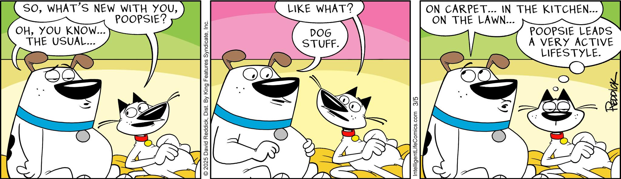 Graphics OCR: SOPOOPSIE? OHYOU KNOW... THE USUAL... 2025 David ReddickInc. LIKE WHAT? DOG STUFF. ON CARPET... IN THE KITCHEN... POOPSIE LEADS ON THE LAWN... A VERY ACTIVE LIFESTYLE. IntelligentLifeComics.com 3/5 REDDICK SOWHAT'S NEW WITH YOUPOOPSIE ? OHYOU KNOW ... THE USUAL ... 2025 David ReddickDist . By King Features SyndicateInc. LIKE WHAT ? DOG STUFF . ON CARPET ... IN THE KITCHEN ... POOPSIE LEADS ON THE LAWN ... A VERY ACTIVE LIFESTYLE . IntelligentLifeComics.com 3/5 REDDICK