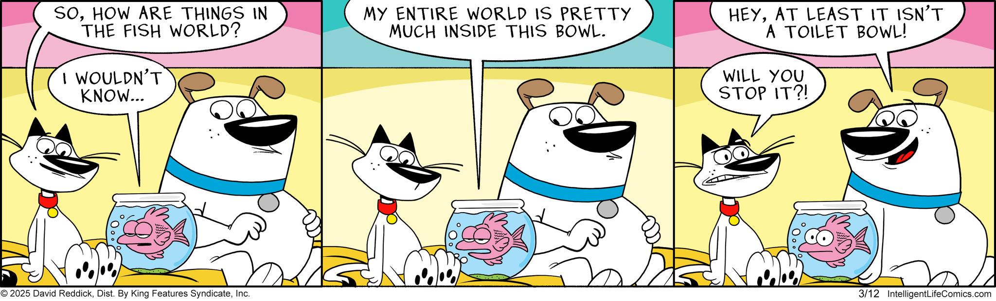 Pleased OCR: SOHOW ARE THINGS IN THE FISH WORLD? I WOULDN'T KNOW... MY ENTIRE WORLD IS PRETTY MUCH INSIDE THIS BOWL. HEYAT LEAST IT ISN'T A TOILET BOWL! WILL YOU STOP IT?! 2025 David ReddickInc. 3/12 IntelligentLifeComics.com SOHOW ARE THINGS IN THE FISH WORLD ? I WOULDN'T KNOW ... MY ENTIRE WORLD IS PRETTY MUCH INSIDE THIS BOWL . HEYAT LEAST IT ISN'T A TOILET BOWL ! WILL YOU STOP IT ?! 2025 David ReddickDist . By King Features SyndicateInc. 3/12 IntelligentLifeComics.com