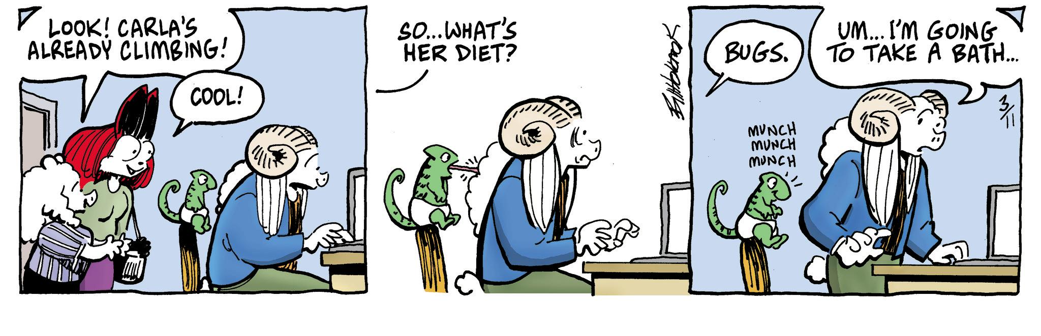 Publication OCR: LOOK! CARLA'S ALREADY CLIMBING! SO...WHAT'S HER DIET? BUGS. COOL! MUNCH MUNCH MUNCH UM... I'M GOING TO TAKE A BATH.... LOOK ! CARLA'S ALREADY CLIMBING ! SO ... WHAT'S HER DIET ? BUGS . COOL ! MUNCH MUNCH MUNCH UM ... I'M GOING TO TAKE A BATH ....