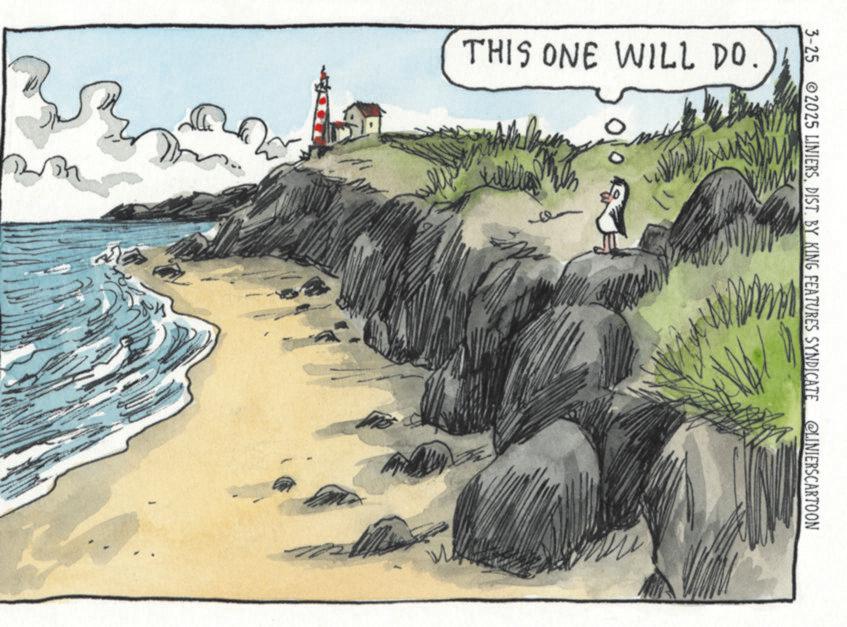 Promontory OCR: THIS ONE WILL DO. 3-25 2025 LINIERSDIST. BY KING FEATURES SYNDICATE @LINIERSCARTOON THIS ONE WILL DO . 3-25 2025 LINIERSDIST . BY KING FEATURES SYNDICATE @LINIERSCARTOON