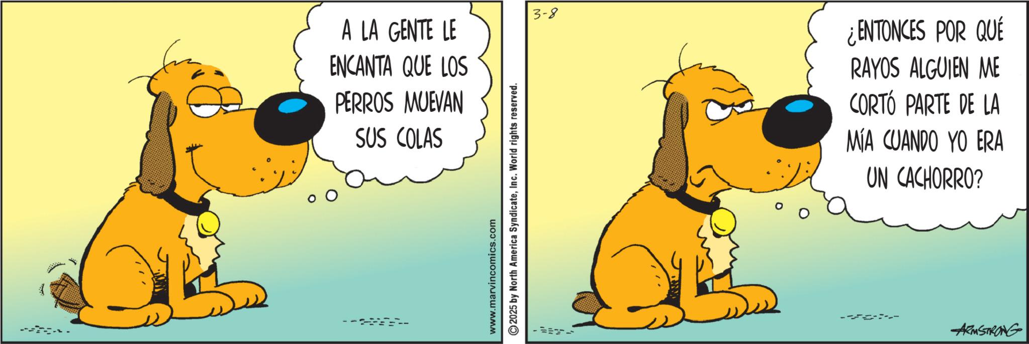 Canidae OCR: A LA GENTE LE ENCANTA QUE LOS PERROS MUEVAN SUS COLAS 2025 by North America SyndicateInc. World rights reserved. www.marvincomics.com 3-8 ¿ENTONCES POR QUE RAYOS ALGUIEN ME CORTÓ PARTE DE LA MÍA CUANDO YO ERA UN CACHORRO? ARMSTRONG A LA GENTE LE ENCANTA QUE LOS PERROS MUEVAN SUS COLAS 2025 by North America SyndicateInc. World rights reserved . www.marvincomics.com 3-8 ¿ ENTONCES POR QUE RAYOS ALGUIEN ME CORTÓ PARTE DE LA MÍA CUANDO YO ERA UN CACHORRO ? ARMSTRONG