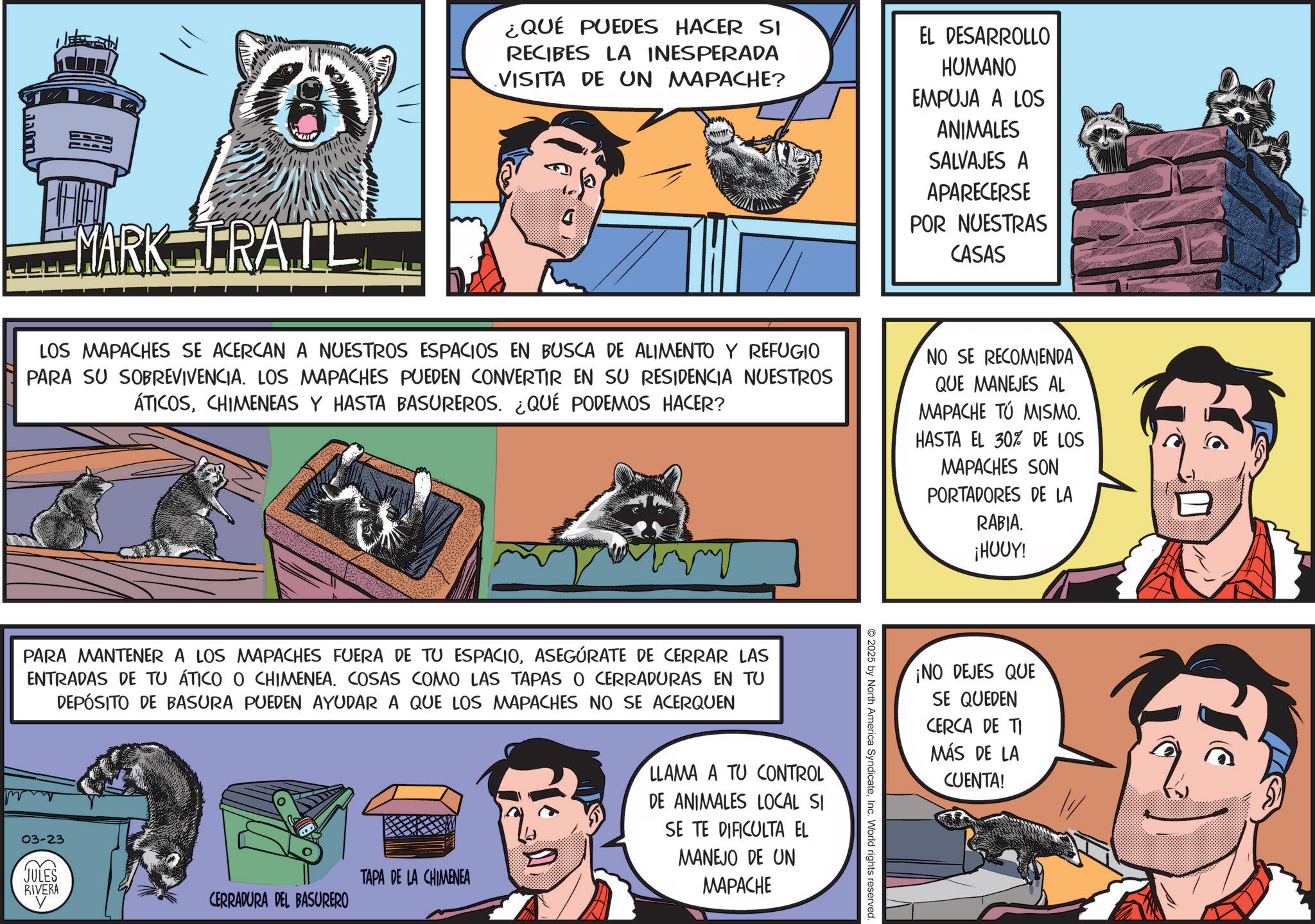 Publication OCR: MARK TRAIL ¿QUÉ PUEDES HACER SI RECIBES LA INESPERADA VISITA DE UN MAPACHE? EL DESARROLLO HUMANO EMPUJA ANIMALES LOS SALVAJES A APARECERSE POR NUESTRAS CASAS LOS MAPACHES SE ACERCAN A NUESTROS ESPACIOS EN BUSCA DE ALIMENTO Y REFUGIO PARA SU SOBREVIVENCIA. LOS MAPACHES PUEDEN CONVERTIR EN SU RESIDENCIA NUESTROS ÁTICOSCHIMENEAS Y HASTA BASUREROS. ¿QUÉ PODEMOS HACER? NO SE RECOMIENDA QUE MANEJES AL MAPACHE TÚ MISMO. HASTA EL 30% DE LOS MAPACHES SON PORTADORES DE LA PARA MANTENER A LOS MAPACHES FUERA DE TU ESPACIOASEGÚRATE DE CERRAR LAS ENTRADAS DE TU ÁTICO O CHIMENEA. COSAS COMO LAS TAPAS O CERRADURAS EN TU DEPÓSITO DE BASURA PUEDEN AYUDAR A QUE LOS MAPACHES NO SE ACERQUEN 03-23 JULES TAPA DE LA CHIMENEA RIVERA CERRADURA DEL BASURERO LLAMA A TU CONTROL DE ANIMALES LOCAL SI SE TE DIFICULTA EL MANEJO DE UN MAPACHE ©2025 by North America SyndicateInc. World rights reserved. RABIA. ¡HOUY! ¡NO DEJES QUE SE QUEDEN CERCA DE TI MÁS DE LA CUENTA! MARK TRAIL ¿ QUÉ PUEDES HACER SI RECIBES LA INESPERADA VISITA DE UN MAPACHE ? EL DESARROLLO HUMANO EMPUJA ANIMALES LOS SALVAJES A APARECERSE POR NUESTRAS CASAS LOS MAPACHES SE ACERCAN A NUESTROS ESPACIOS EN BUSCA DE ALIMENTO Y REFUGIO PARA SU SOBREVIVENCIA . LOS MAPACHES PUEDEN CONVERTIR EN SU RESIDENCIA NUESTROS ÁTICOSCHIMENEAS Y HASTA BASUREROS . ¿ QUÉ PODEMOS HACER ? NO SE RECOMIENDA QUE MANEJES AL MAPACHE TÚ MISMO . HASTA EL 30 % DE LOS MAPACHES SON PORTADORES DE LA PARA MANTENER A LOS MAPACHES FUERA DE TU ESPACIOASEGÚRATE DE CERRAR LAS ENTRADAS DE TU ÁTICO O CHIMENEA . COSAS COMO LAS TAPAS O CERRADURAS EN TU DEPÓSITO DE BASURA PUEDEN AYUDAR A QUE LOS MAPACHES NO SE ACERQUEN 03-23 JULES TAPA DE LA CHIMENEA RIVERA CERRADURA DEL BASURERO LLAMA A TU CONTROL DE ANIMALES LOCAL SI SE TE DIFICULTA EL MANEJO DE UN MAPACHE © 2025 by North America SyndicateInc. World rights reserved . RABIA . ¡ HOUY ! ¡ NO DEJES QUE SE QUEDEN CERCA DE TI MÁS DE LA CUENTA !