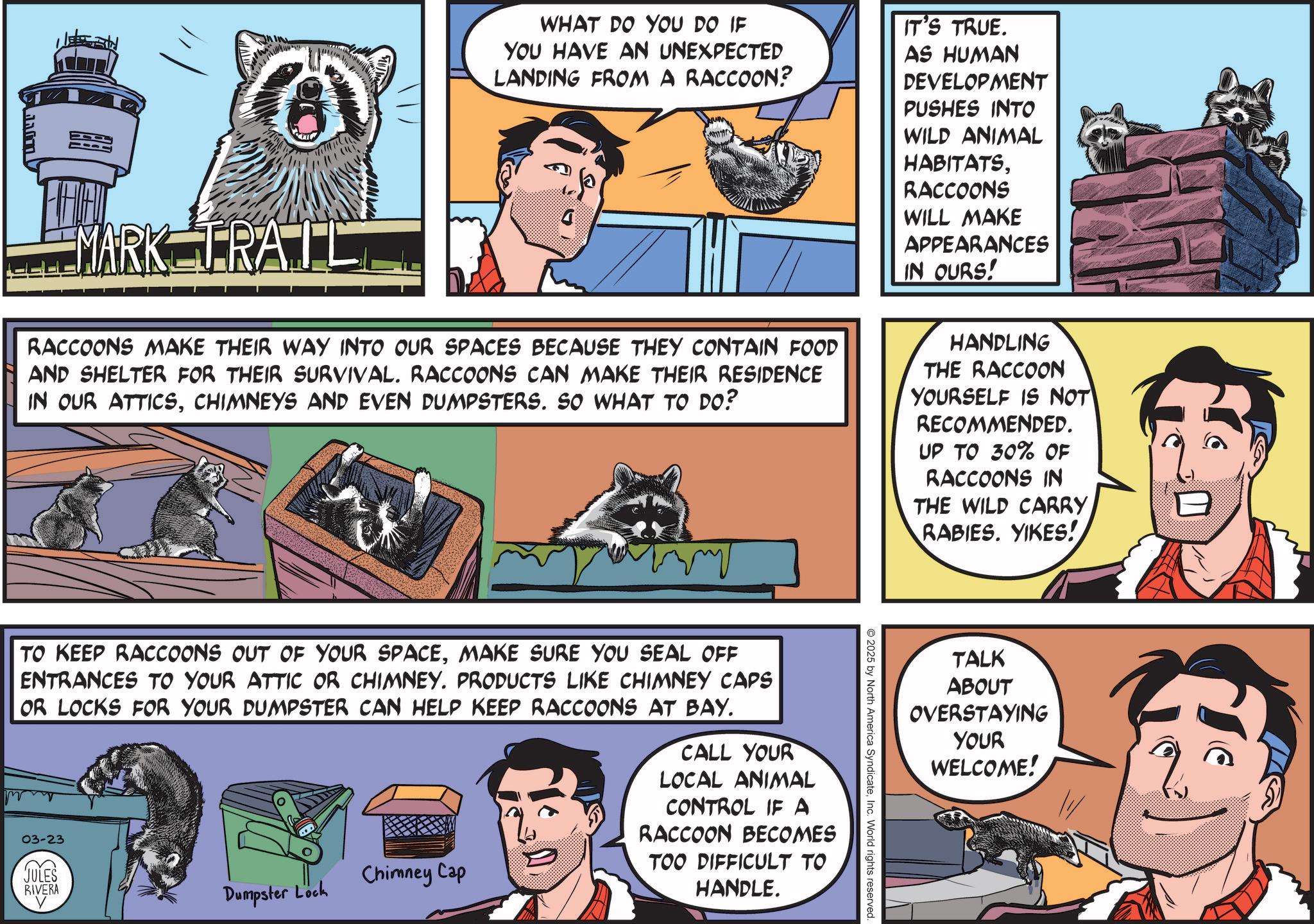 Fictional character OCR: Jam MARK TRAIL WHAT DO YOU DO IF YOU HAVE AN UNEXPECTED LANDING FROM A RACCOON? RACCOONS MAKE THEIR WAY INTO OUR SPACES BECAUSE THEY CONTAIN FOOD AND SHELTER FOR THEIR SURVIVAL. RACCOONS CAN MAKE THEIR RESIDENCE IN OUR ATTICSCHIMNEYS AND EVEN DUMPSTERS. SO WHAT TO DO? IT'S TRUE. AS HUMAN DEVELOPMENT PUSHES INTO WILD ANIMAL HABITATSRACCOONS WILL MAKE APPEARANCES IN OURS! HANDLING THE RACCOON YOURSELF IS NOT RECOMMENDED. UP TO 30% OF RACCOONS IN THE WILD CARRY RABIES. YIKES! TALK ABOUT OVERSTAYING YOUR WELCOME! 2025 by North America SyndicateInc. World rights reserved TO KEEP RACCOONS OUT OF YOUR SPACEMAKE SURE YOU SEAL OFF ENTRANCES TO YOUR ATTIC OR CHIMNEY. PRODUCTS LIKE CHIMNEY CAPS OR LOCKS FOR YOUR DUMPSTER CAN HELP KEEP RACCOONS AT BAY. 03-23 JULES RIVERA Dumpster Lock Chimney Cap CALL YOUR LOCAL ANIMAL CONTROL IF A RACCOON BECOMES TOO DIFFICULT TO HANDLE. Jam MARK TRAIL WHAT DO YOU DO IF YOU HAVE AN UNEXPECTED LANDING FROM A RACCOON ? RACCOONS MAKE THEIR WAY INTO OUR SPACES BECAUSE THEY CONTAIN FOOD AND SHELTER FOR THEIR SURVIVAL . RACCOONS CAN MAKE THEIR RESIDENCE IN OUR ATTICSCHIMNEYS AND EVEN DUMPSTERS . SO WHAT TO DO ? IT'S TRUE . AS HUMAN DEVELOPMENT PUSHES INTO WILD ANIMAL HABITATSRACCOONS WILL MAKE APPEARANCES IN OURS ! HANDLING THE RACCOON YOURSELF IS NOT RECOMMENDED . UP TO 30 % OF RACCOONS IN THE WILD CARRY RABIES . YIKES ! TALK ABOUT OVERSTAYING YOUR WELCOME ! 2025 by North America SyndicateInc. World rights reserved TO KEEP RACCOONS OUT OF YOUR SPACEMAKE SURE YOU SEAL OFF ENTRANCES TO YOUR ATTIC OR CHIMNEY . PRODUCTS LIKE CHIMNEY CAPS OR LOCKS FOR YOUR DUMPSTER CAN HELP KEEP RACCOONS AT BAY . 03-23 JULES RIVERA Dumpster Lock Chimney Cap CALL YOUR LOCAL ANIMAL CONTROL IF A RACCOON BECOMES TOO DIFFICULT TO HANDLE .