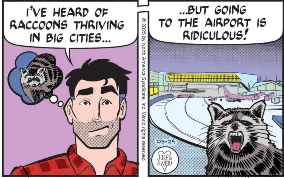 Publication OCR: I'VE HEARD OF RACCOONS THRIVING IN BIG CITIES... ...BUT GOING TO THE AIRPORT IS RIDICULOUS! 2025 by North America SyndicateInc. World rights reserved. 03-29 JULES RIVERA V I'VE HEARD OF RACCOONS THRIVING IN BIG CITIES ... ... BUT GOING TO THE AIRPORT IS RIDICULOUS ! 2025 by North America SyndicateInc. World rights reserved . 03-29 JULES RIVERA V