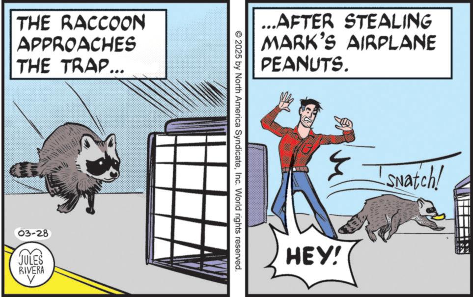 Comic book OCR: THE RACCOON APPROACHES THE TRAP... 03-28 JULES RIVERA V …..AFTER STEALING MARK'S AIRPLANE PEANUTS. © 2025 by North America SyndicateInc. World rights reserved. HEY! Snatch! THE RACCOON APPROACHES THE TRAP ... 03-28 JULES RIVERA V … ..AFTER STEALING MARK'S AIRPLANE PEANUTS . © 2025 by North America SyndicateInc. World rights reserved . HEY ! Snatch !