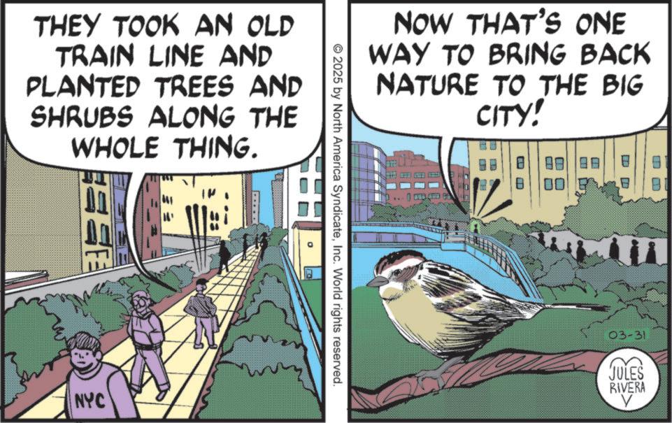 Animation OCR: THEY TOOK AN OLD TRAIN LINE AND PLANTED TREES AND SHRUBS ALONG THE WHOLE THING. FREE NYC NOW THAT'S ONE WAY TO BRING BACK NATURE TO THE BIG CITY! © 2025 by North America SyndicateInc. World rights reserved. ? ? ?? ? 03-31 JULES RIVERA THEY TOOK AN OLD TRAIN LINE AND PLANTED TREES AND SHRUBS ALONG THE WHOLE THING . FREE NYC NOW THAT'S ONE WAY TO BRING BACK NATURE TO THE BIG CITY ! © 2025 by North America SyndicateInc. World rights reserved . ? ? ?? ? 03-31 JULES RIVERA