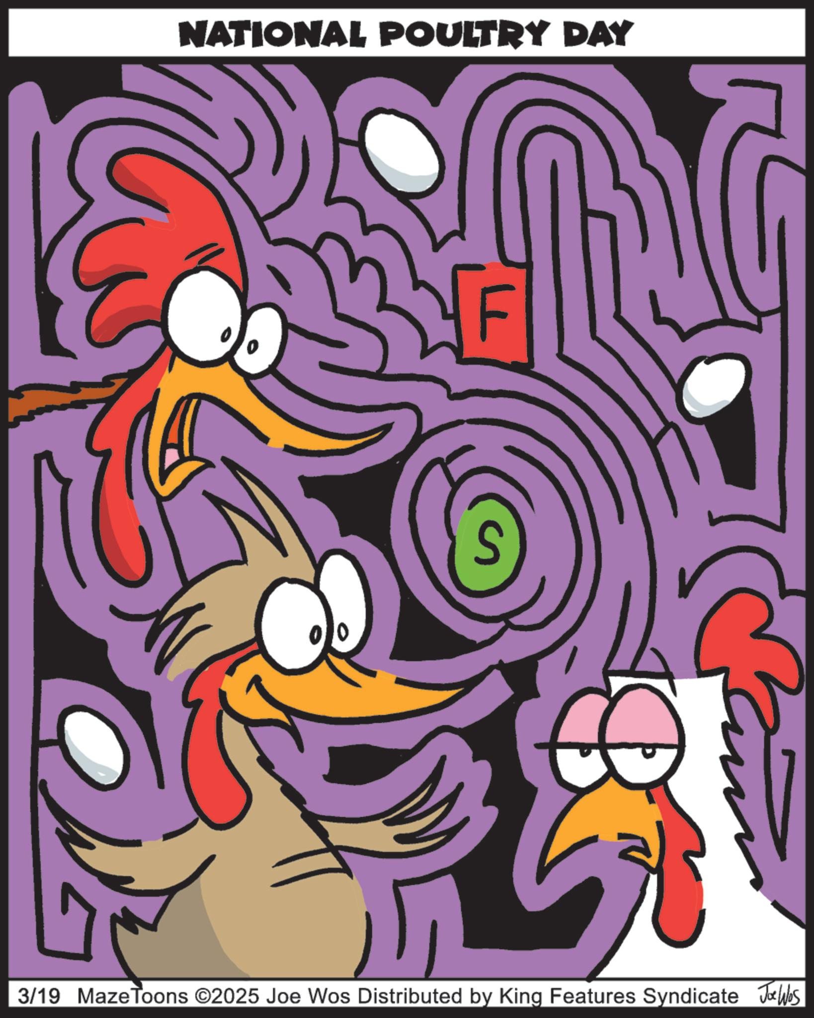 Fowl OCR: NATIONAL POULTRY DAY 3/19 Maze Toons ©2025 Joe Wos Distributed by King Features Syndicate Jobs NATIONAL POULTRY DAY 3/19 Maze Toons © 2025 Joe Wos Distributed by King Features Syndicate Jobs