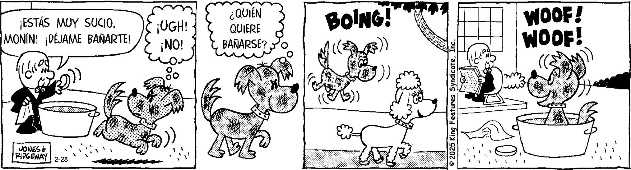 Illustration OCR: ¡ESTÁS MUY SUCIOMONÍN! ¡DÉJAME BAÑARTE! JONES+ RIDGEWAY 2-28 ¡UGH! 29 ¡NO! ¿QUIÉN QUIERE BAÑARSE? BOING! 2025 King Features SyndicateInc. WOOF! WOOF! ¡ ESTÁS MUY SUCIOMONÍN ! ¡ DÉJAME BAÑARTE ! JONES + RIDGEWAY 2-28 ¡ UGH ! 29 ¡ NO ! ¿ QUIÉN QUIERE BAÑARSE ? BOING ! 2025 King Features SyndicateInc. WOOF ! WOOF !