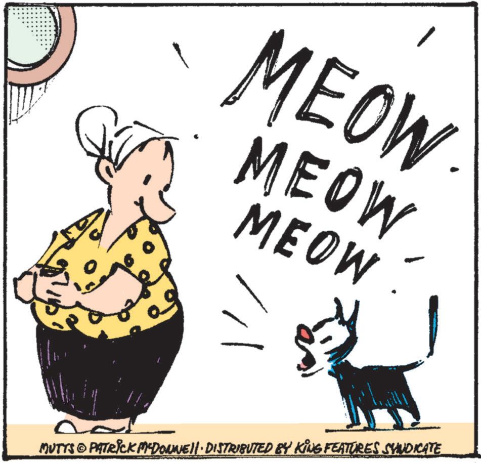 OCR: MEOW MEOW MEOW MUTTS © PATRICK MYDONNE · DISTRIBUTED BY KING FEATURES SYNDICATE MEOW MEOW MEOW MUTTS © PATRICK MYDONNE · DISTRIBUTED BY KING FEATURES SYNDICATE