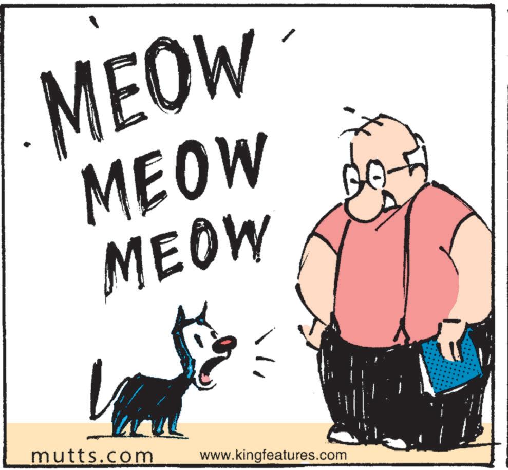 Canidae OCR: mutts.com MEOW MEOW MEOW www.kingfeatures.com ? mutts.com MEOW MEOW MEOW www.kingfeatures.com ?