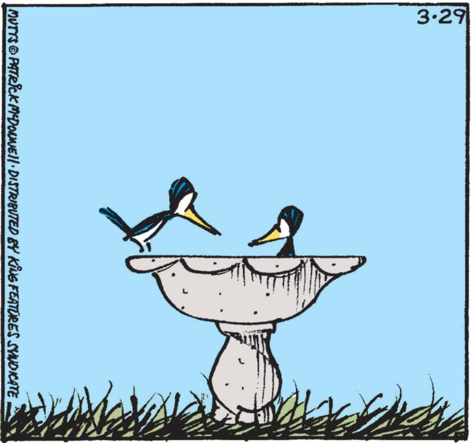 Tail OCR: MUTTS © PATRICK MCDONNEL DISTRIBUTED BY KING FEATURES SYNDICATE 3.29 MUTTS © PATRICK MCDONNEL DISTRIBUTED BY KING FEATURES SYNDICATE 3.29