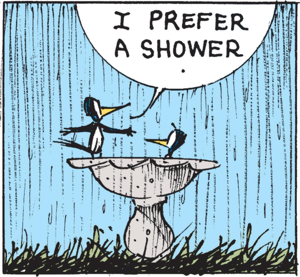 Bird OCR: N I PREFER DH A SHOWER T. INTE TOPT 77- ? ( J 27. 23 J 12.333.. ANNIE swat e m A- N I PREFER DH A SHOWER T. INTE TOPT 77- ? ( J 27. 23 J 12.333 .. ANNIE swat e m A-