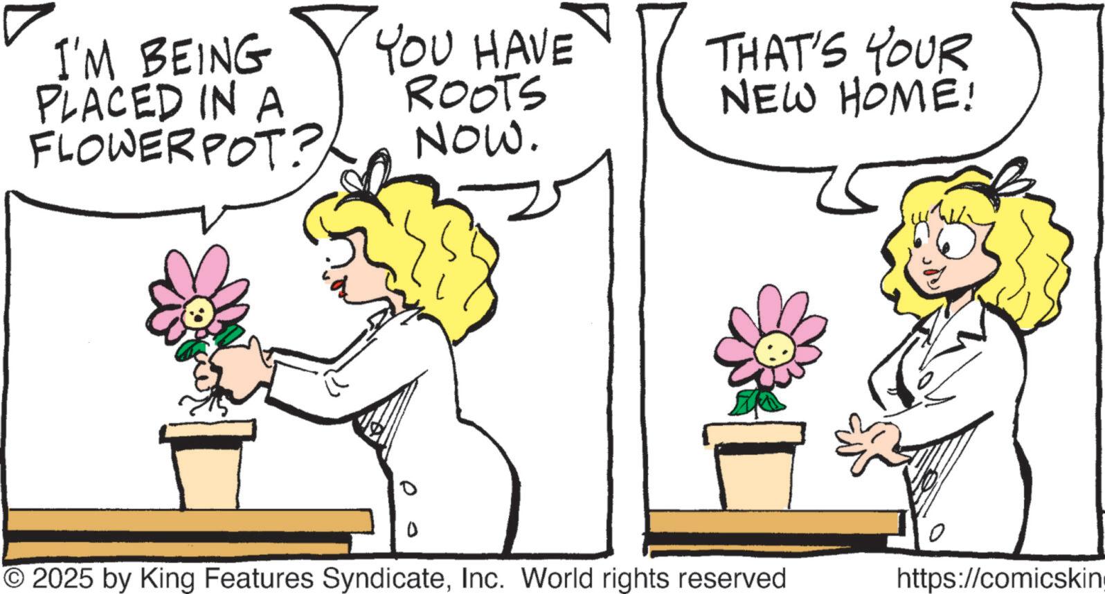 Line art OCR: I'M BEING PLACED IN A FLOWERPOT? YOU HAVE ROOTS NOW. THAT'S YOUR NEW HOME! 0 © 2025 by King Features SyndicateInc. World rights reserved https://comicskin I'M BEING PLACED IN A FLOWERPOT ? YOU HAVE ROOTS NOW . THAT'S YOUR NEW HOME ! 0 © 2025 by King Features SyndicateInc. World rights reserved https : // comicskin
