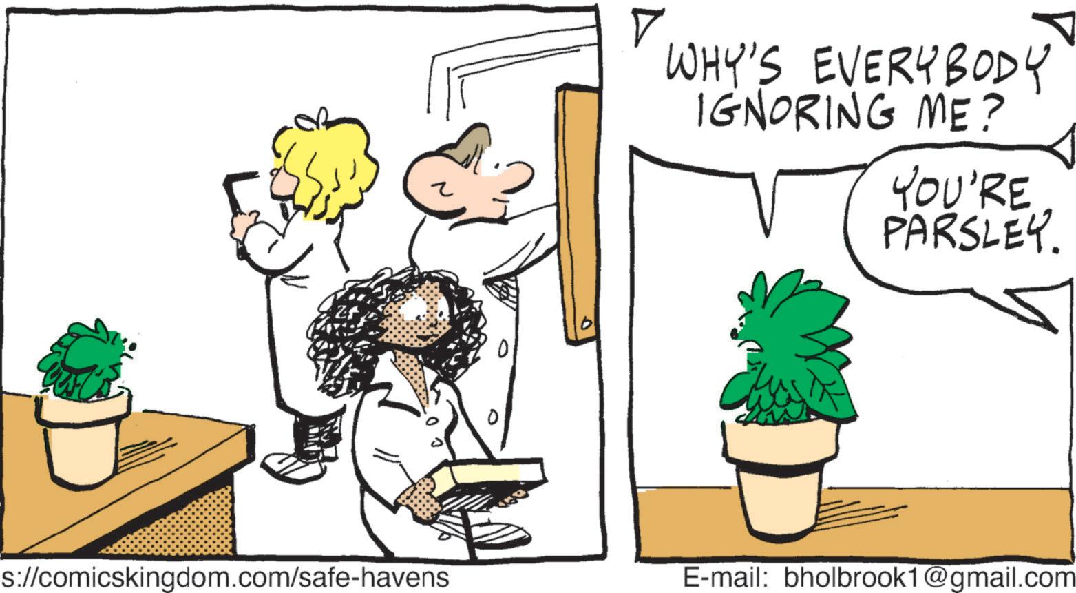 Fiction OCR: s://comicskingdom.com/safe-havens ? WHY'S EVERYBODY IGNORING ME? YOU'RE PARSLEY. E-mail: bholbrook1@gmail.com s : //comicskingdom.com/safe-havens ? WHY'S EVERYBODY IGNORING ME ? YOU'RE PARSLEY . E - mail : bholbrook1@gmail.com