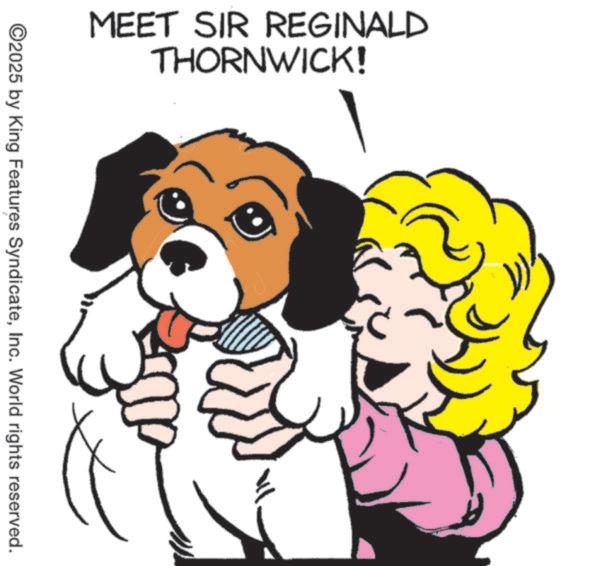 Clip art OCR: MEET SIR REGINALD THORNWICK! ©2025 by King Features SyndicateInc. World rights reserved. ))) MEET SIR REGINALD THORNWICK ! © 2025 by King Features SyndicateInc. World rights reserved . ) ) )