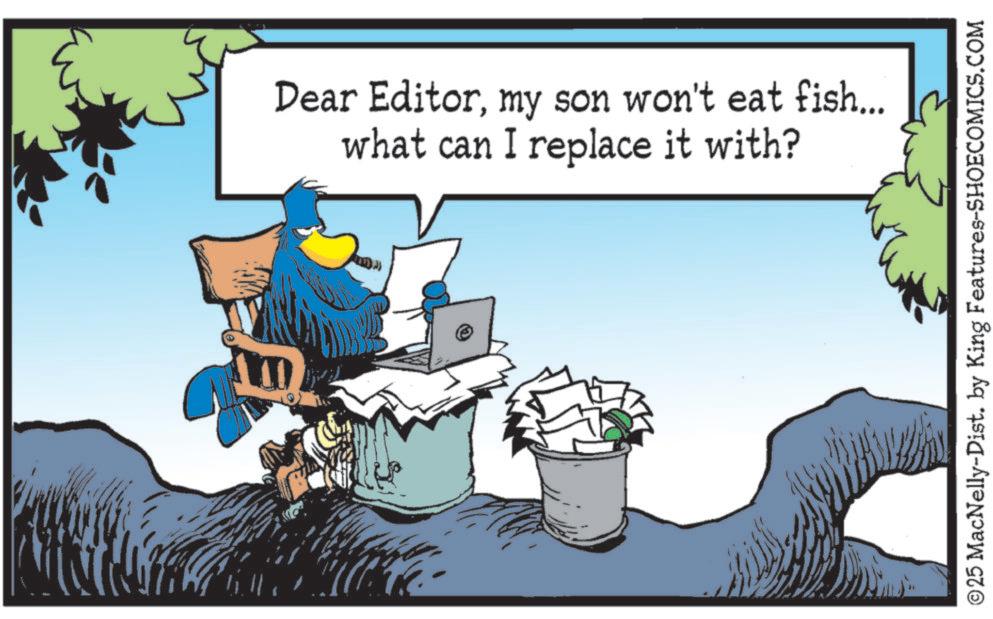 Photo caption OCR: Dear Editormy son won't eat fish... what can I replace it with? ?25 MacNelly-Dist. by King Features-SHOECOMICS.COM Dear Editormy son won't eat fish ... what can I replace it with ? ?25 MacNelly - Dist . by King Features-SHOECOMICS.COM