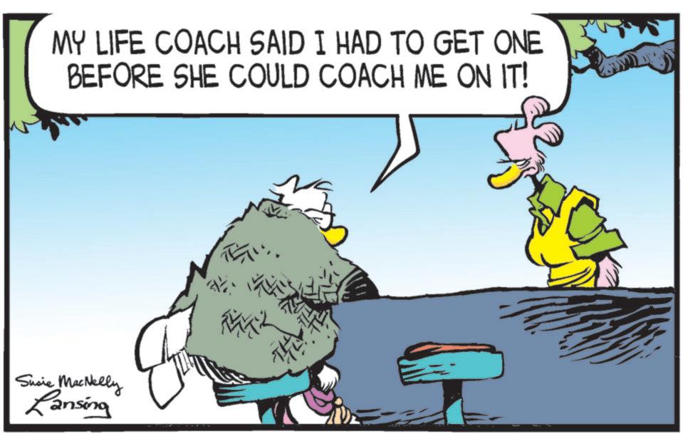 Bird OCR: MY LIFE COACH SAID I HAD TO GET ONE BEFORE SHE COULD COACH ME ON IT! Susie MacNelly Lansing ? MY LIFE COACH SAID I HAD TO GET ONE BEFORE SHE COULD COACH ME ON IT ! Susie MacNelly Lansing ?