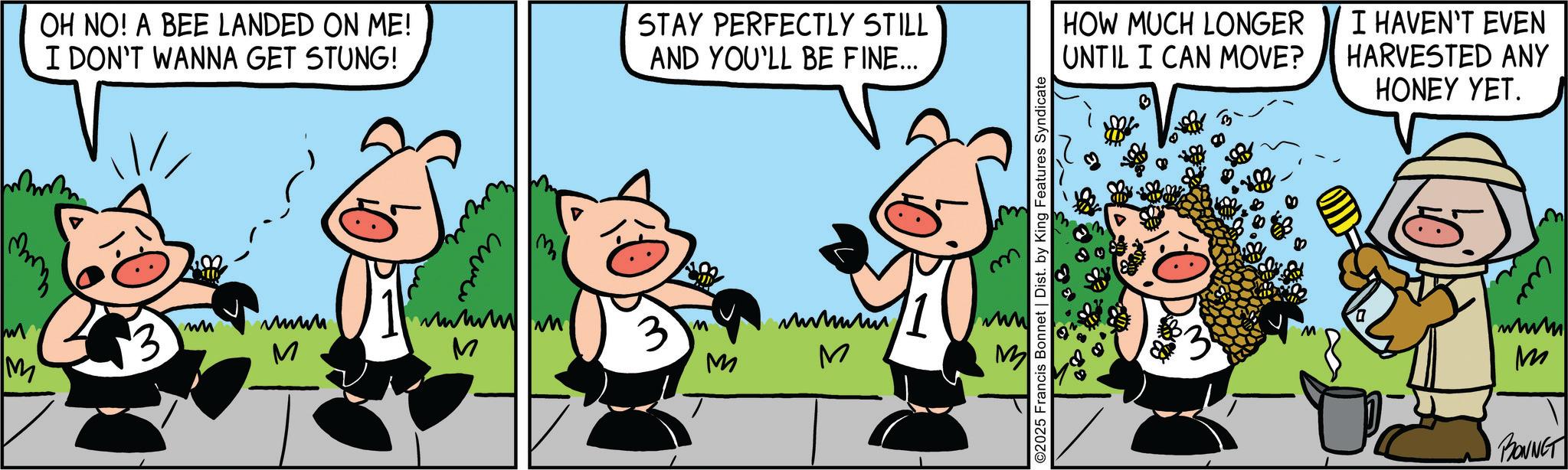 Happiness OCR: www OH NO! A BEE LANDED ON ME! I DON'T WANNA GET STUNG! STAY PERFECTLY STILL AND YOU'LL BE FINE... ?? ???? ???? M M M M ?????? M ©2025 Francis Bonnet | Dist. by King Features Syndicate M HOW MUCH LONGER UNTIL I CAN MOVE? I HAVEN'T EVEN HARVESTED ANY HONEY YET. wwww M BONNET www OH NO ! A BEE LANDED ON ME ! I DON'T WANNA GET STUNG ! STAY PERFECTLY STILL AND YOU'LL BE FINE ... ?? ???? ???? M M M M ?????? M © 2025 Francis Bonnet | Dist . by King Features Syndicate M HOW MUCH LONGER UNTIL I CAN MOVE ? I HAVEN'T EVEN HARVESTED ANY HONEY YET . wwww M BONNET