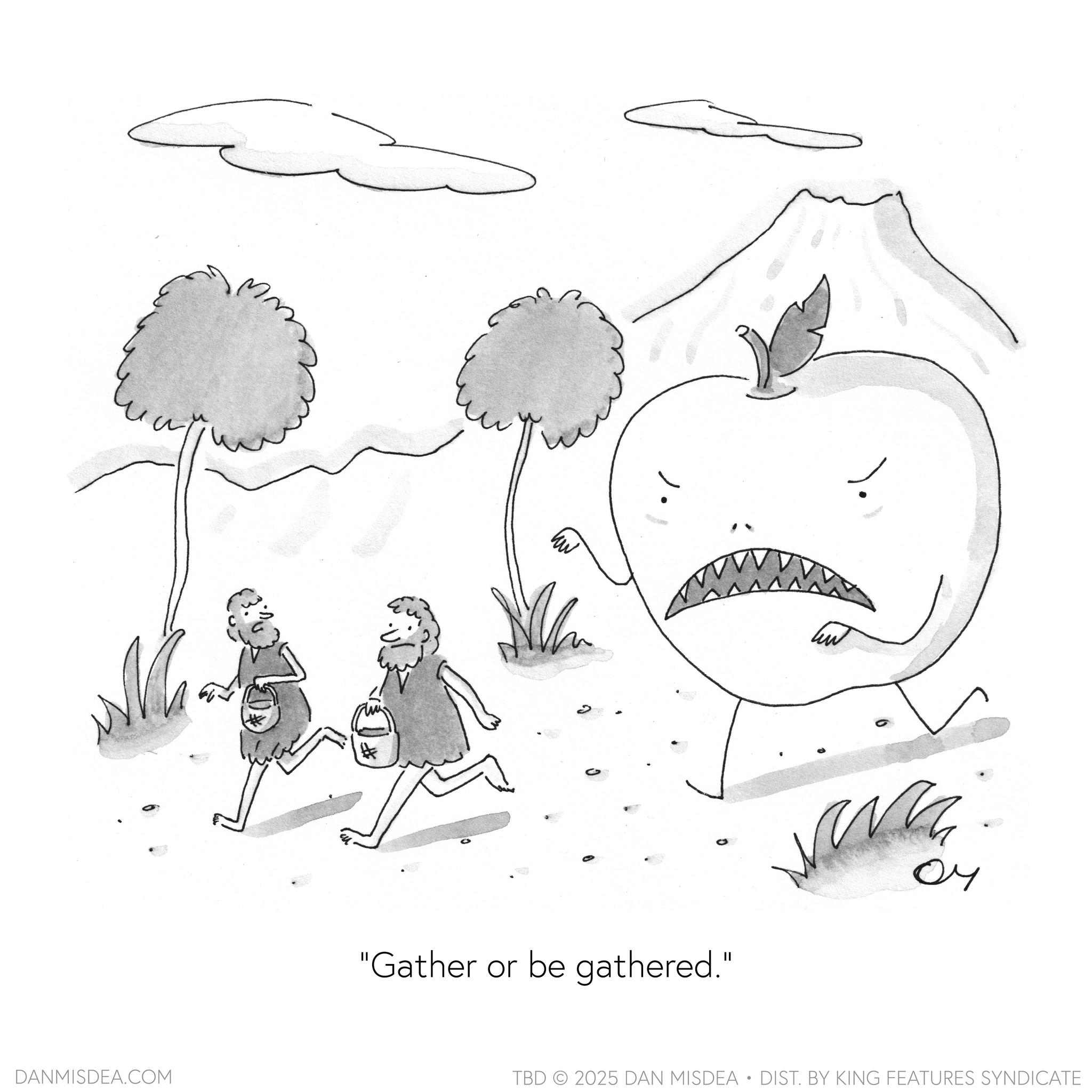 Natural foods OCR: DANMISDEA.COM "Gather or be gathered." ?? TBD 2025 DAN MISDEA • DIST. BY KING FEATURES SYNDICATE DANMISDEA.COM " Gather or be gathered . " ?? TBD 2025 DAN MISDEA • DIST . BY KING FEATURES SYNDICATE